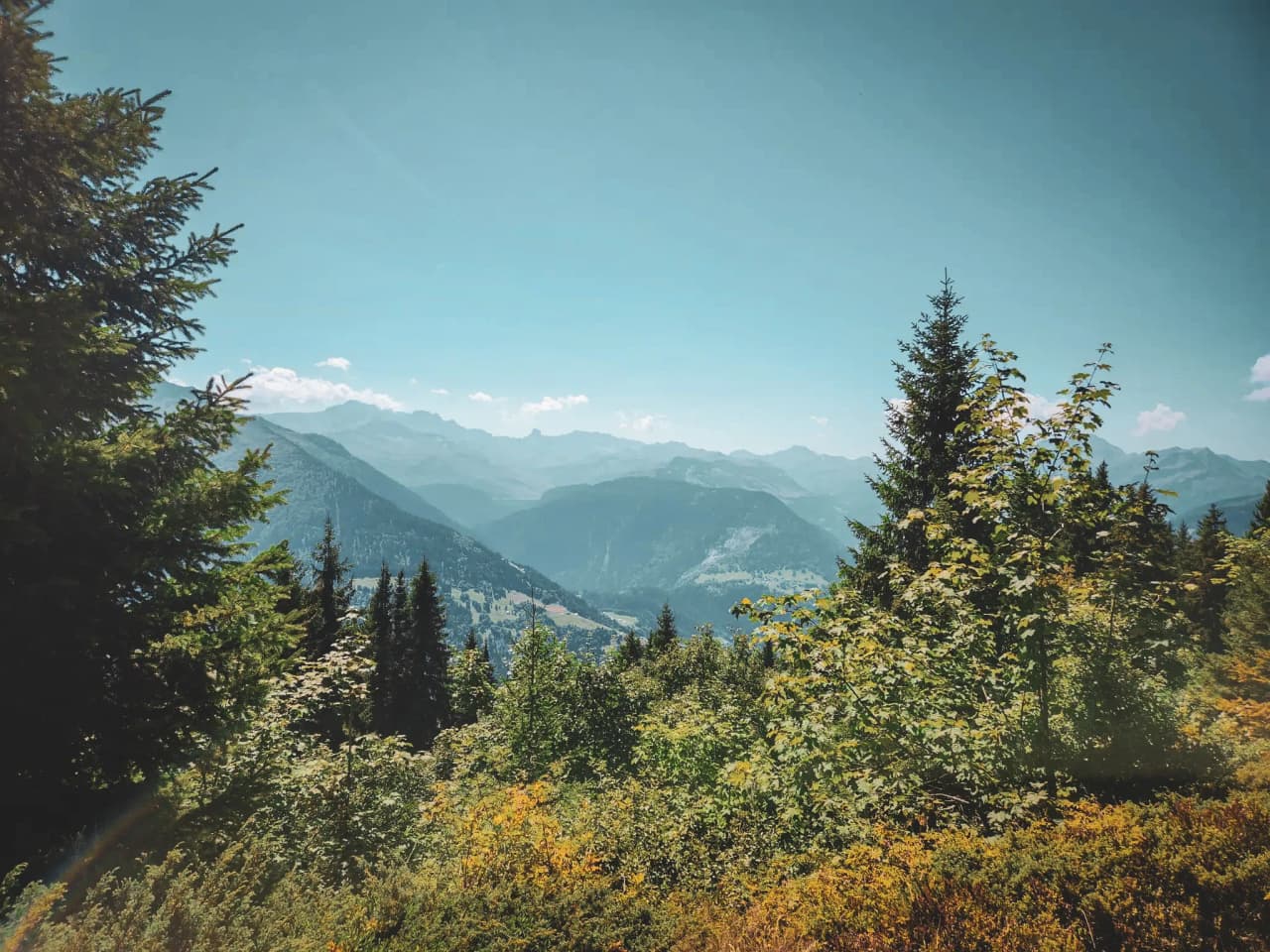 An enchanting Alpine landscape of majestic mountains and lush green forests under a blue sky.