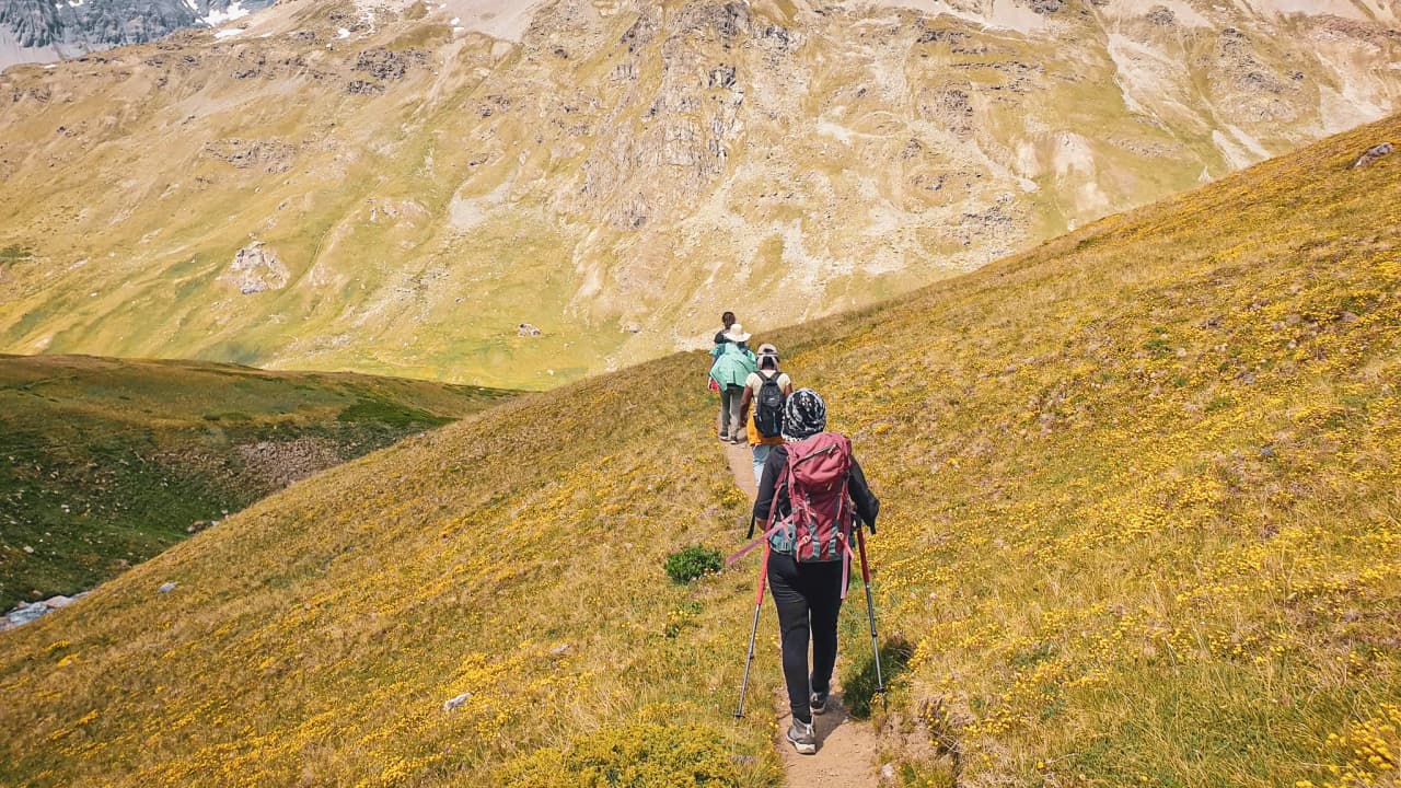 Een groep wandelaars op een zonnig pad omringd door uitgestrekte bloemrijke weiden in de Vanoise.