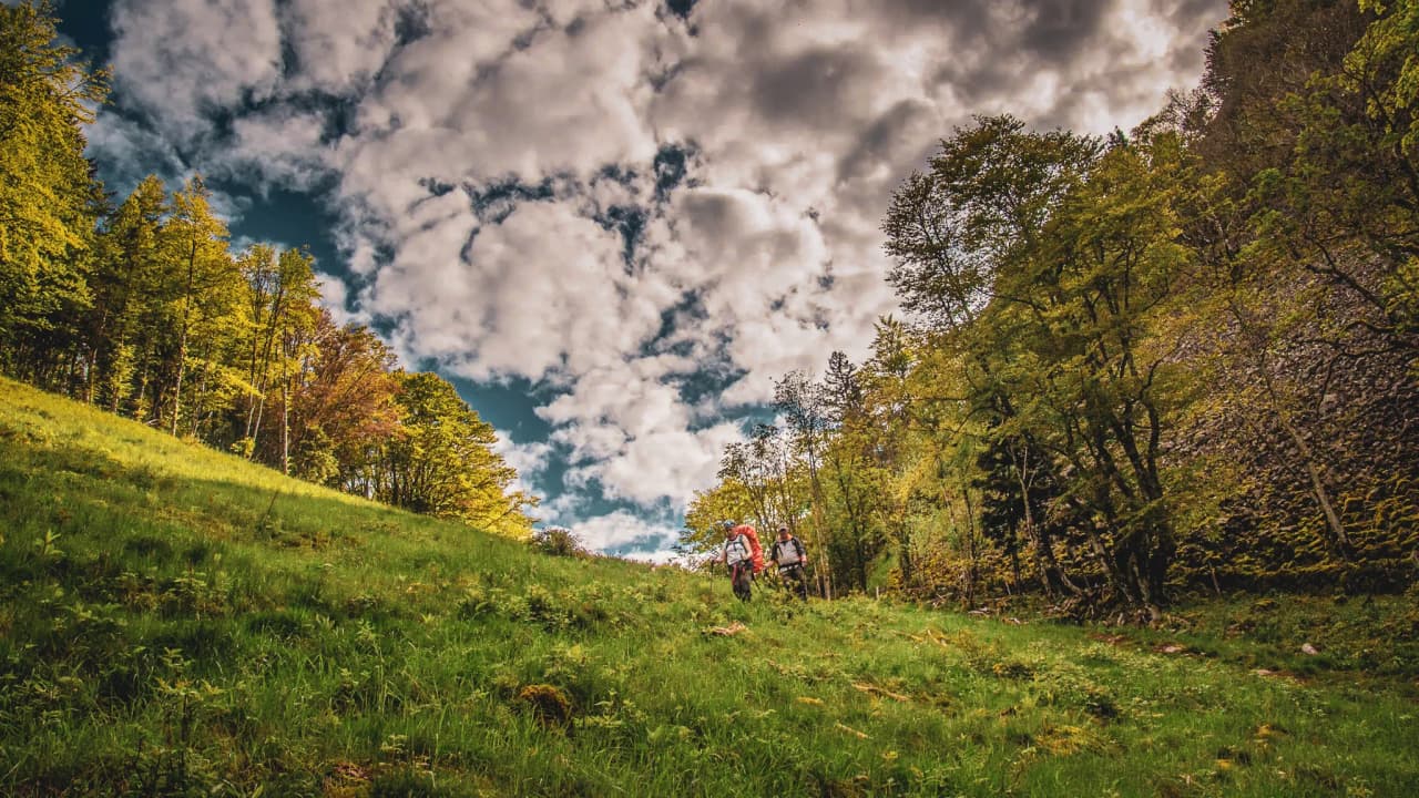 Une randonnée au cœur des Vosges, entre forêts verdoyantes et ciel nuageux. Aventure garantie !