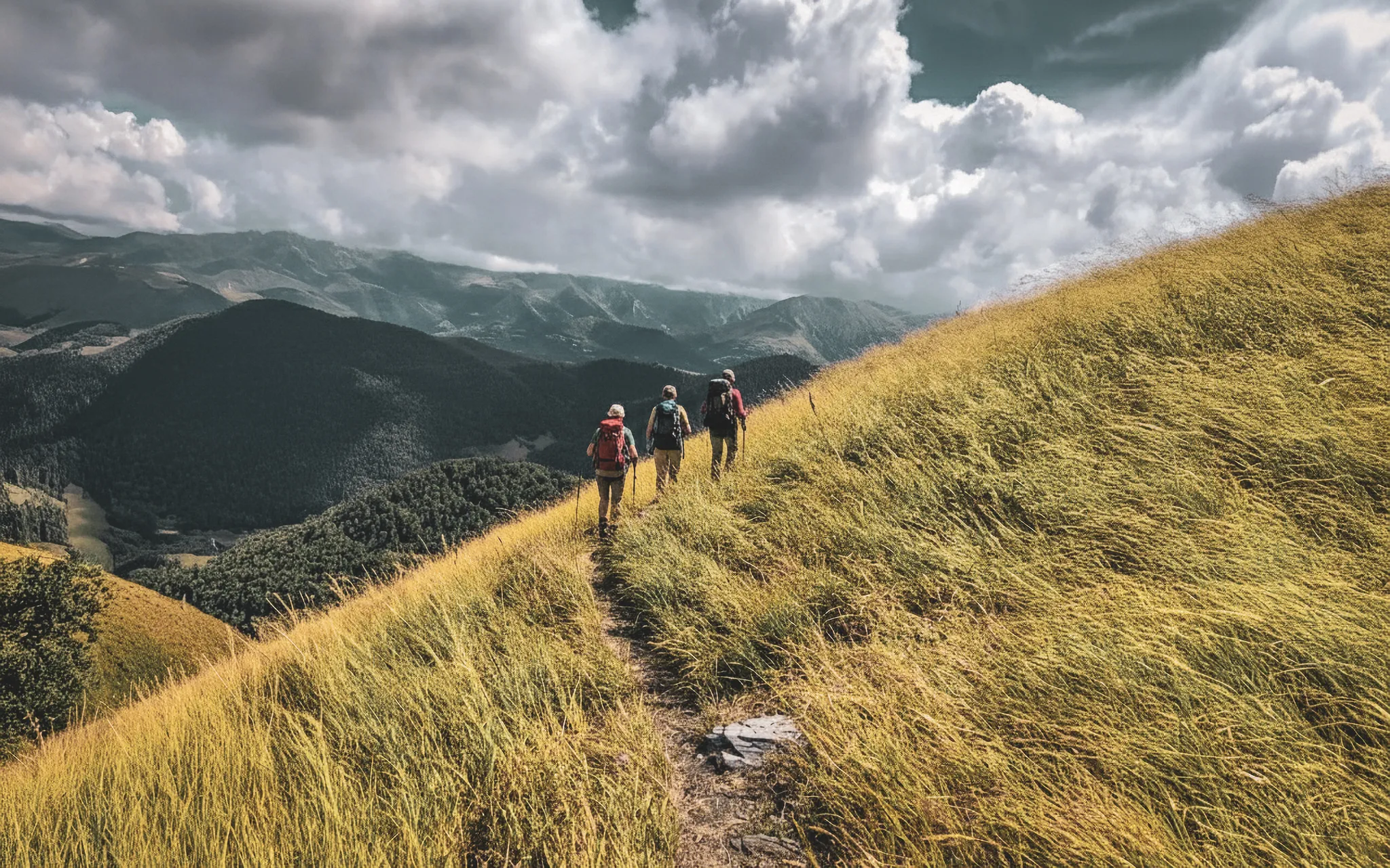 Wandelaars op een gouden bergpad, omringd door majestueuze Pyreneeënlandschappen.