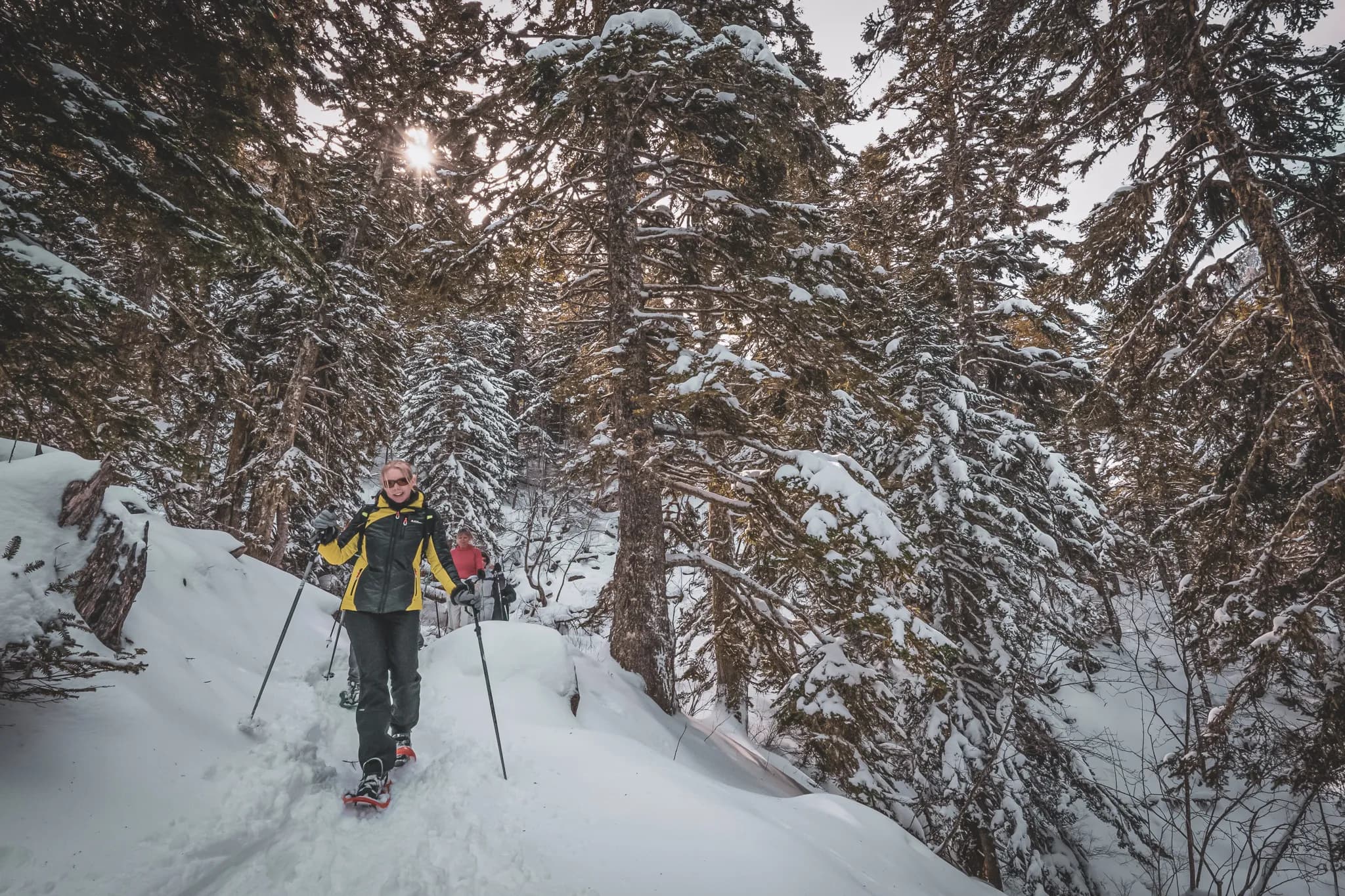 Snowshoe hiker advancing through a snow-covered forest in the Pyrenees, under a gentle sun.
