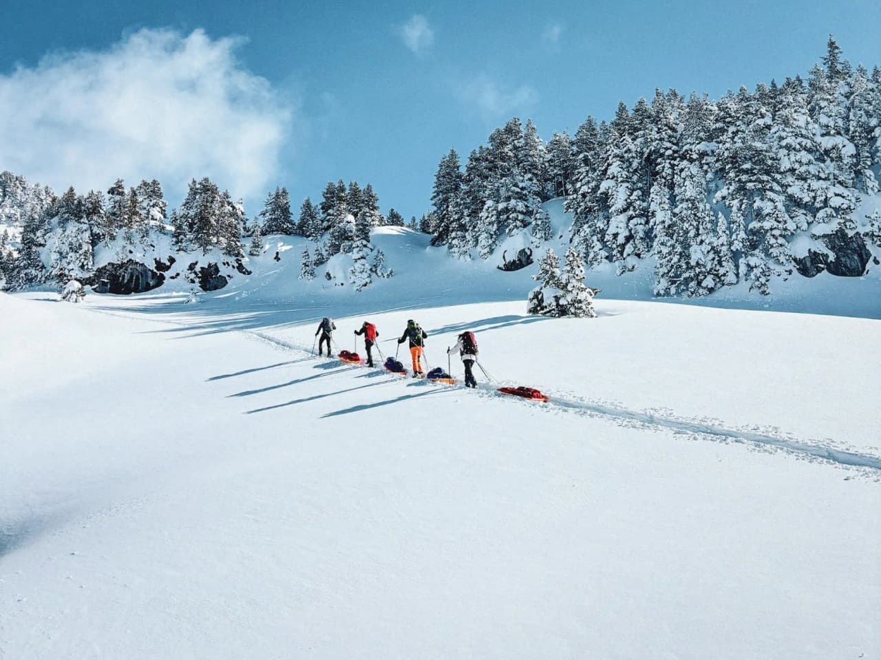 Een groep wandelaars die met sneeuwschoenen en pulka’s door een besneeuwd landschap in de Vercors trekt.