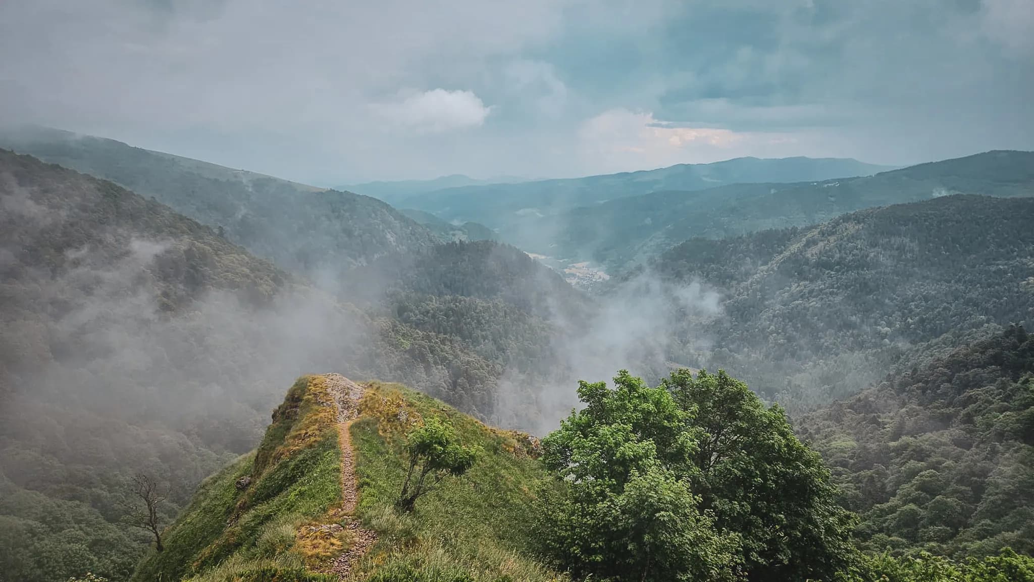 Panorama verdoyant des Vosges, entre collines douces et ciel bleu éclatant. Un appel à l'aventure !