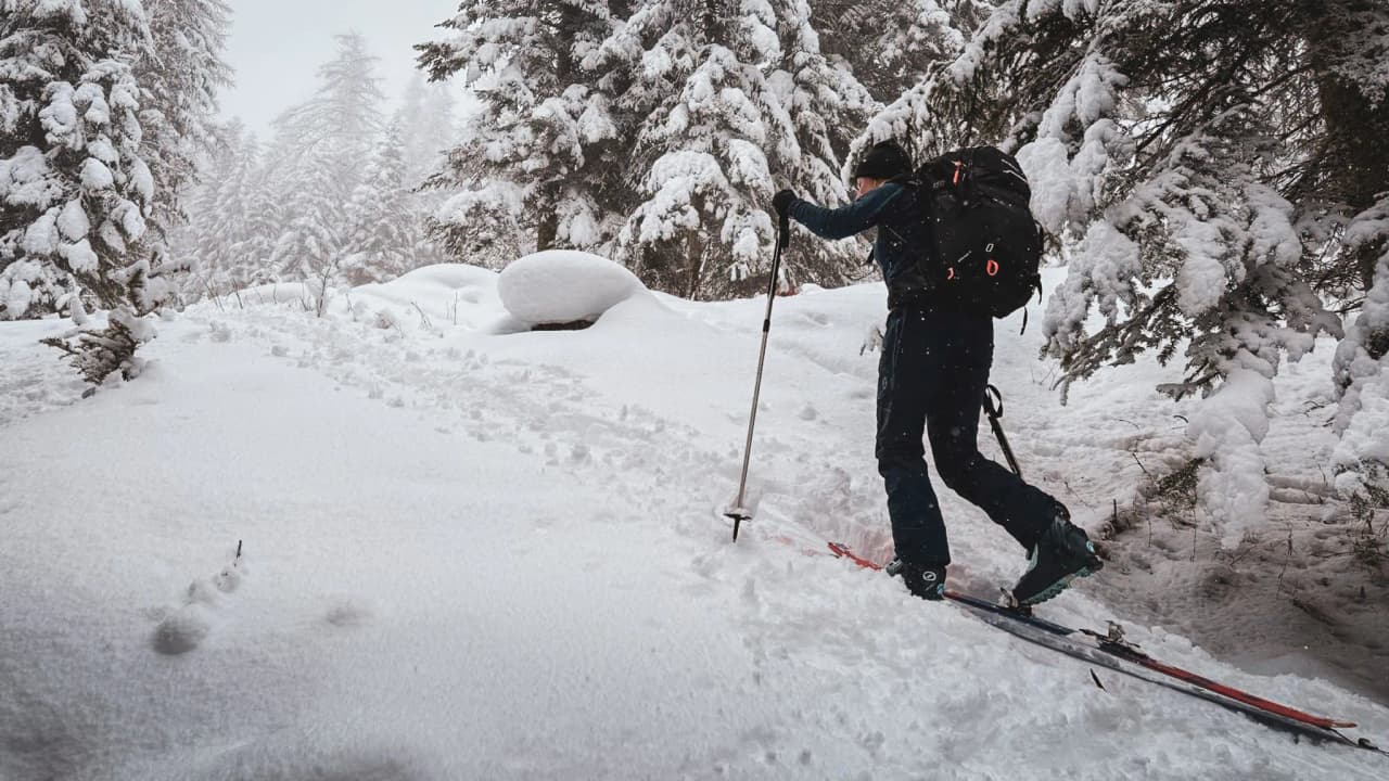 Skieur en randonnée, évoluant dans un paysage enneigé et paisible du Queyras, arbres couverts de neige.