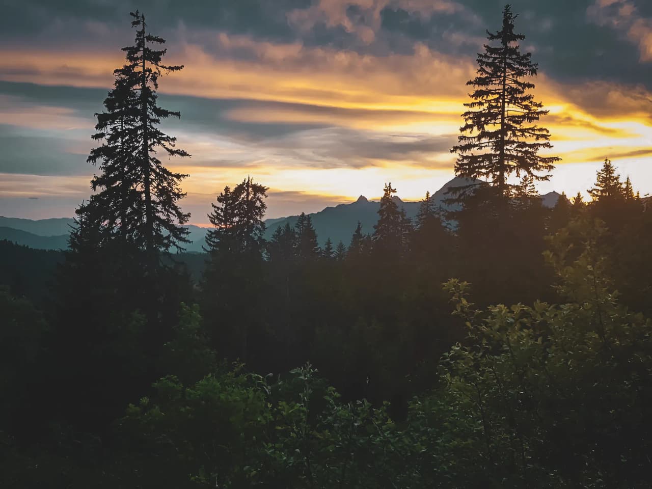 Silhouettes of trees facing a sunset over the Alps, an invitation to travel.
