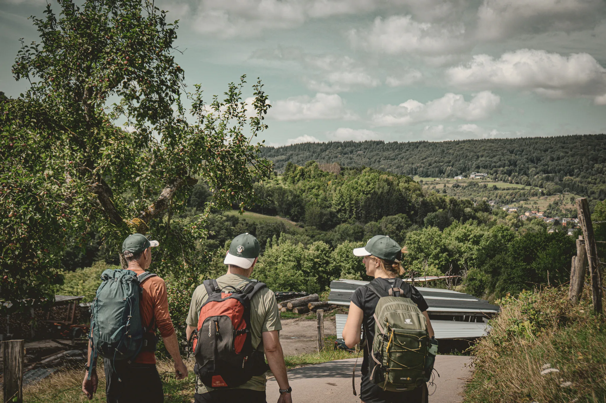 Trois randonneurs explorent la Petite Suisse luxembourgeoise, entourés de nature verdoyante.