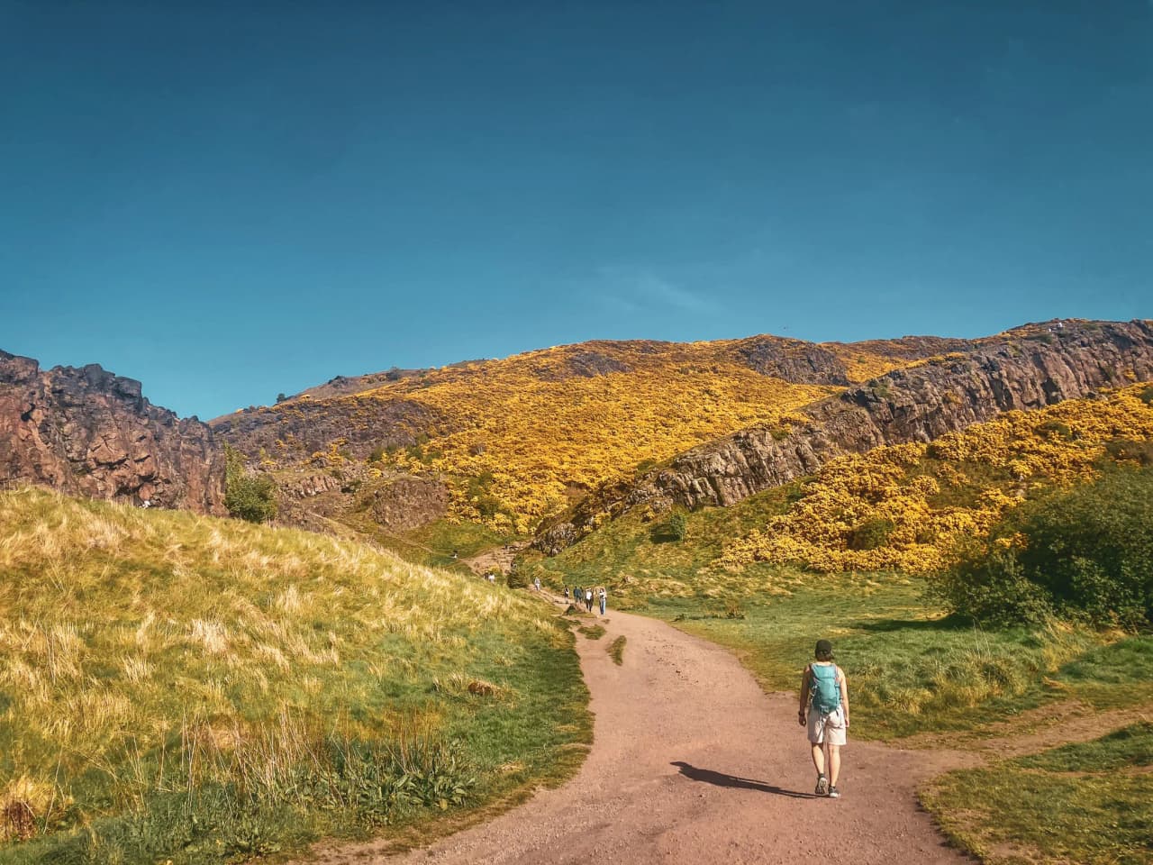 Un randonneur explore un sentier sinueux entouré de collines verdoyantes et fleuries sous un ciel bleu.