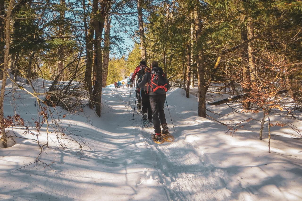 Groupe de randonneurs en raquettes évoluant dans un sentier enneigé en Chartreuse, sous un ciel bleu.