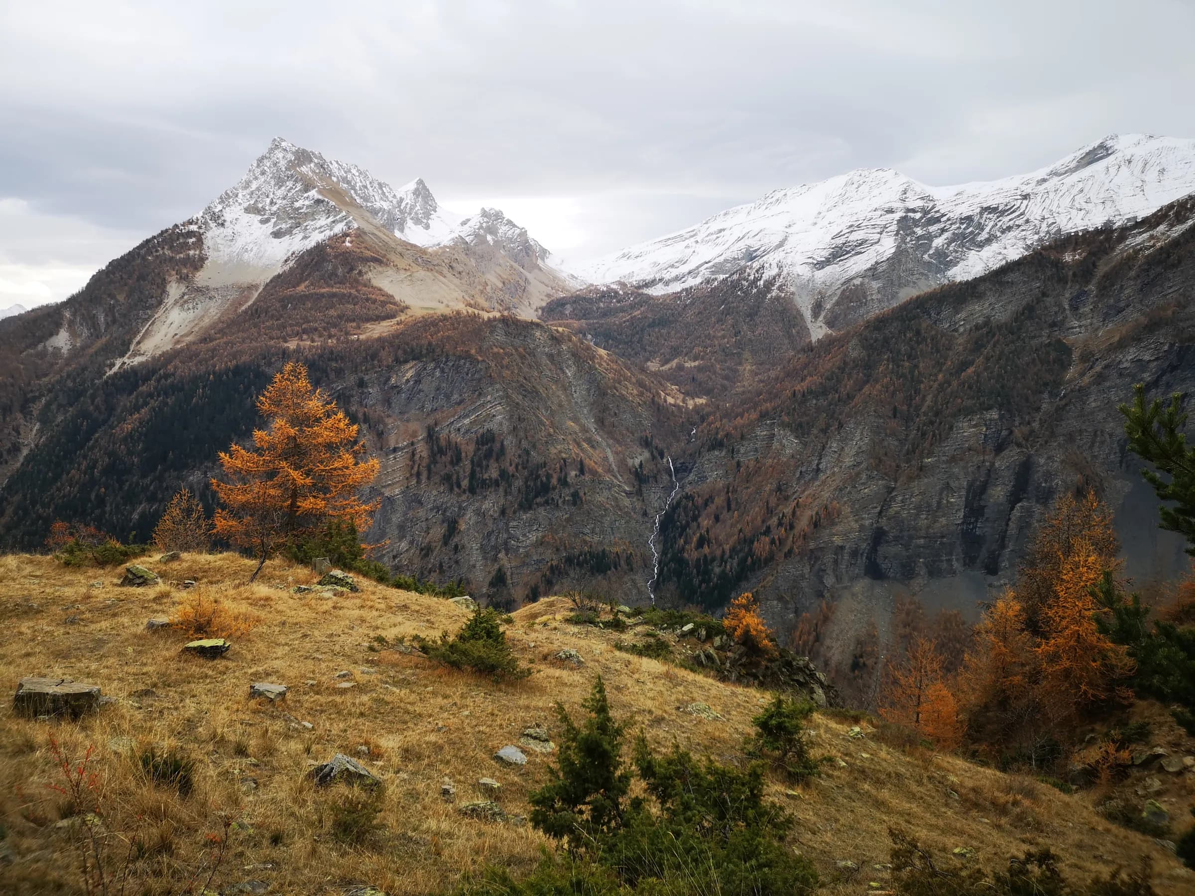 Cédric - Wildhartt - Bergwandelgids
