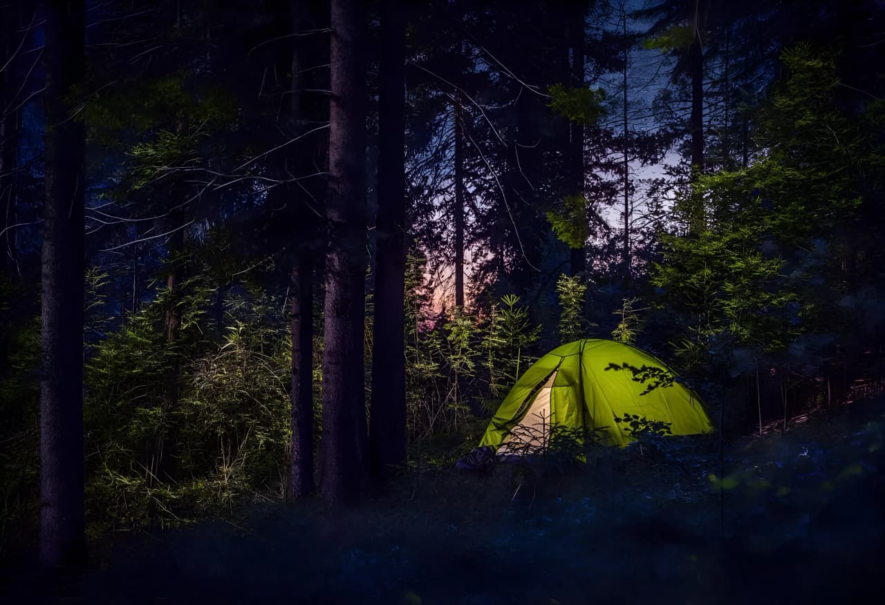 An illuminated green tent, nestling between the trees, under an enchanting twilight sky.