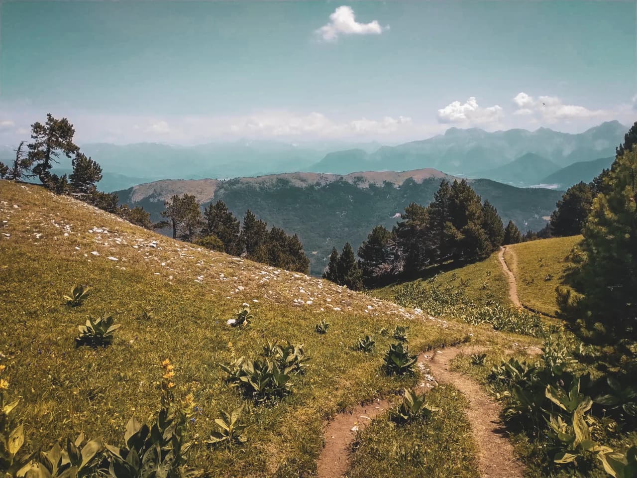 A winding path through verdant mountain pastures, with majestic mountains in the background.