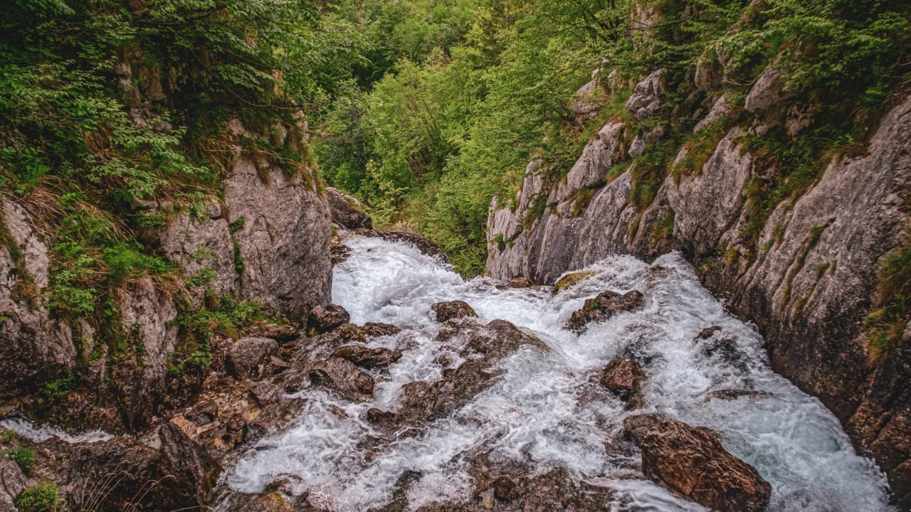 A wild torrent tumbling down the rocks, surrounded by lush greenery in Slovenia.