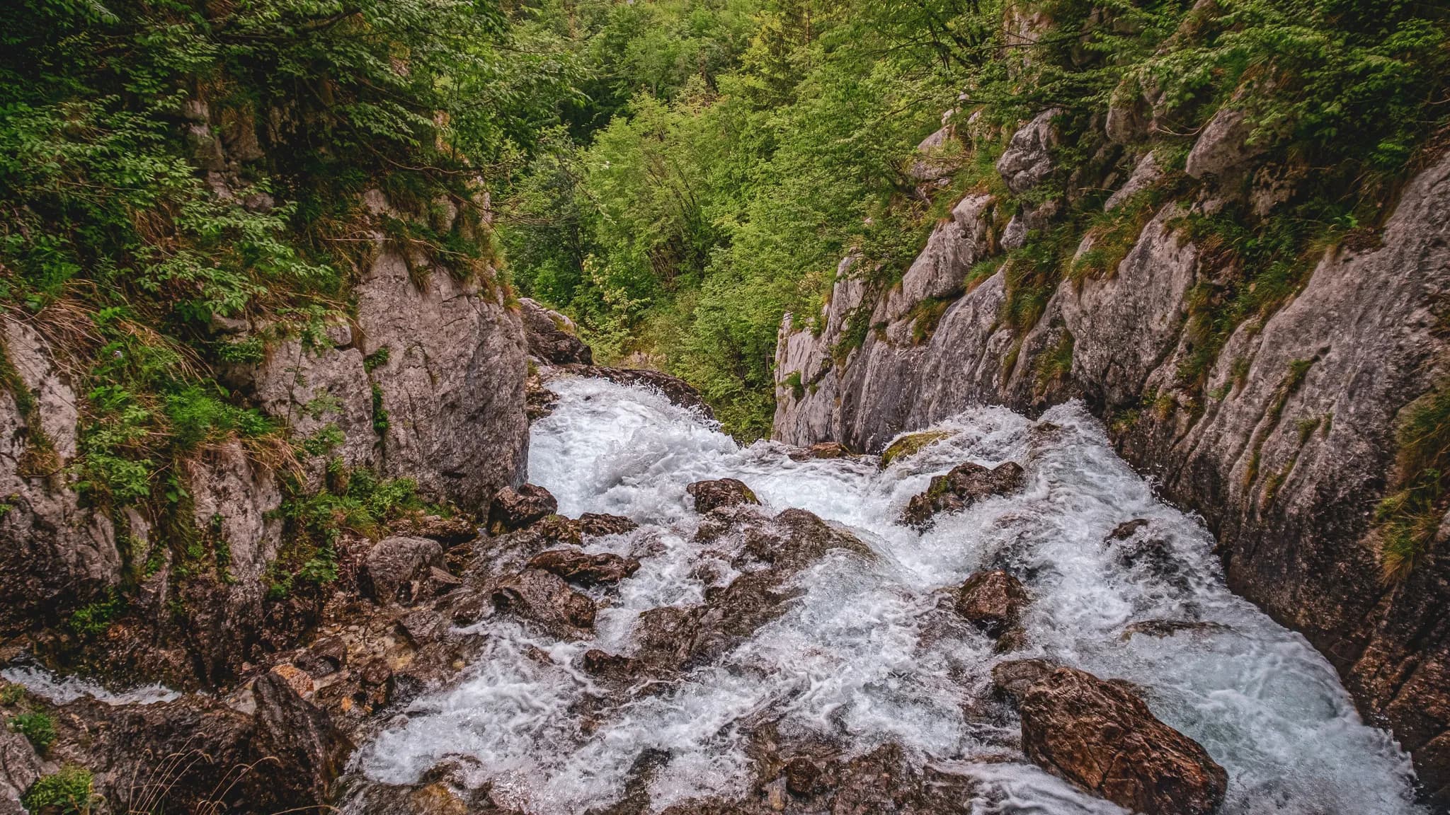 Un torrent sauvage dévalant des rochers, entouré de verdure luxuriante en Slovénie.