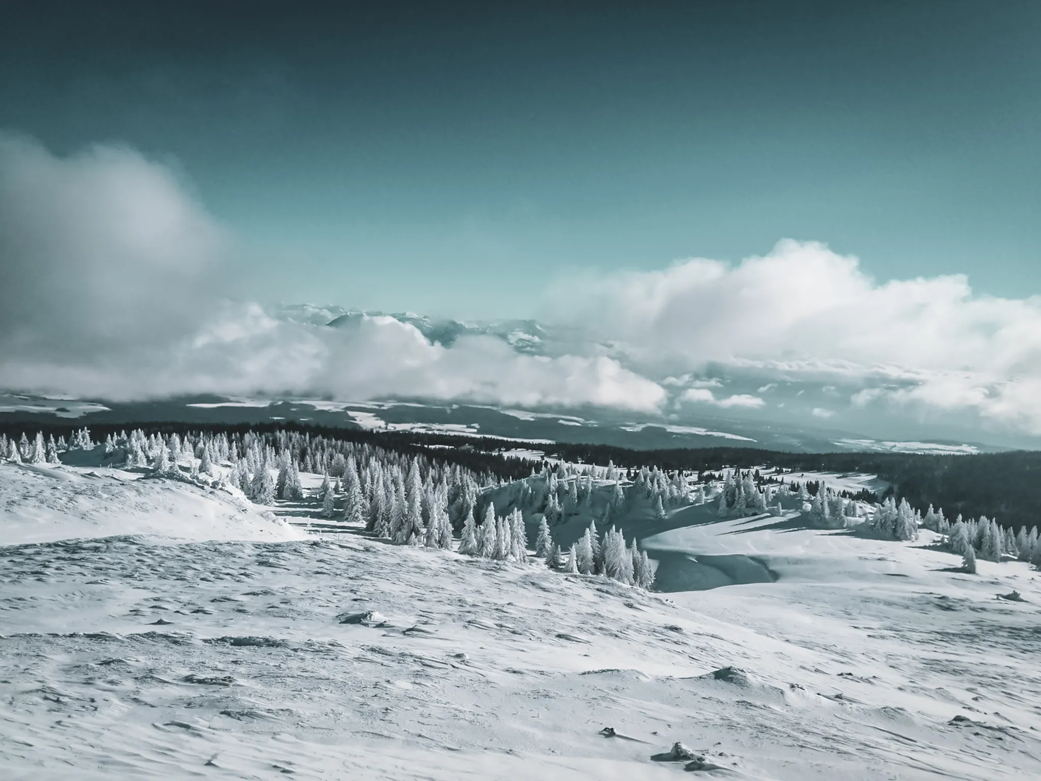 The winter landscape of the Jura, with snow-covered forests and azure skies, is an invitation to adventure.