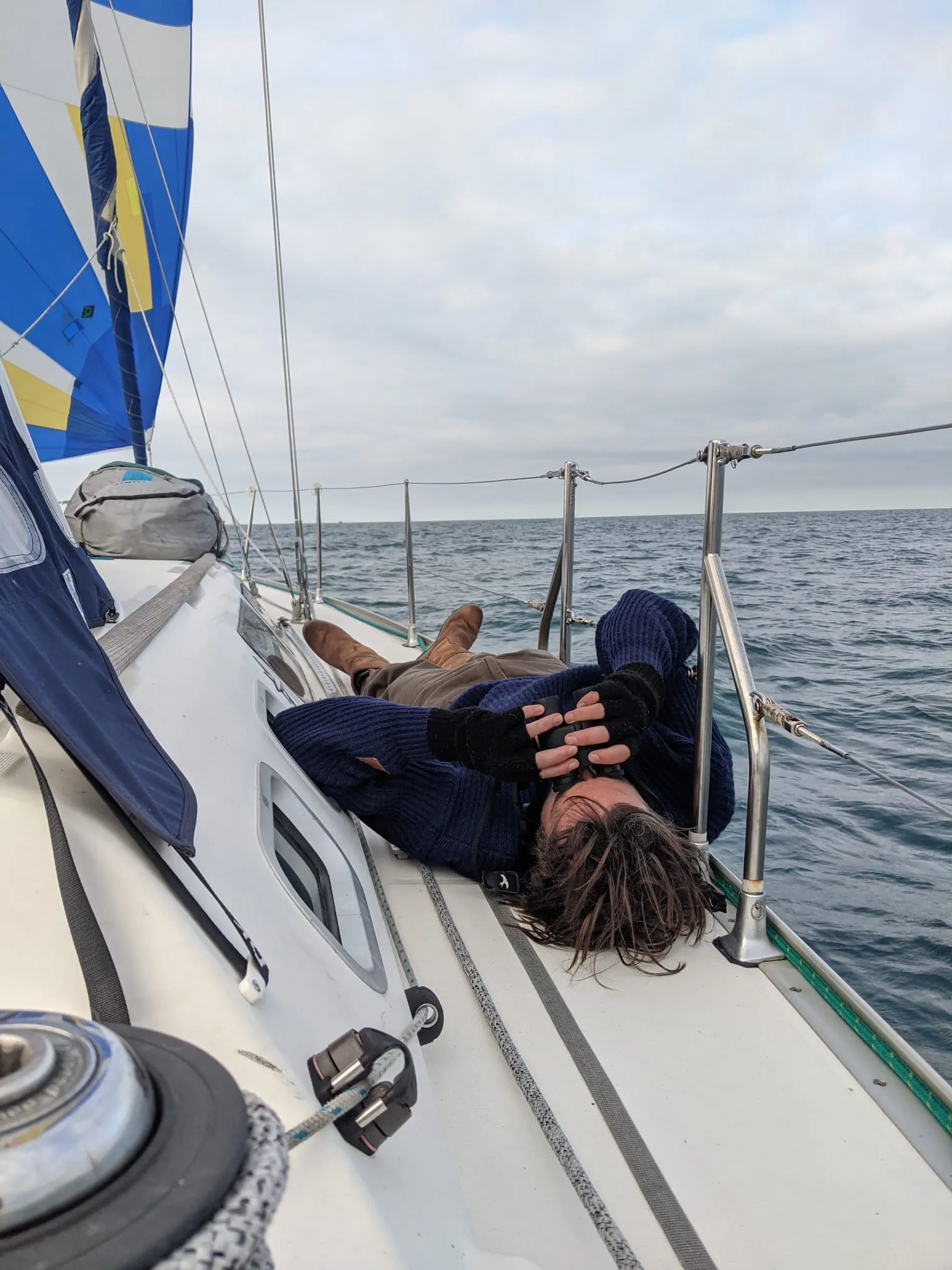 Matthieu - Wildhartt - Skipper