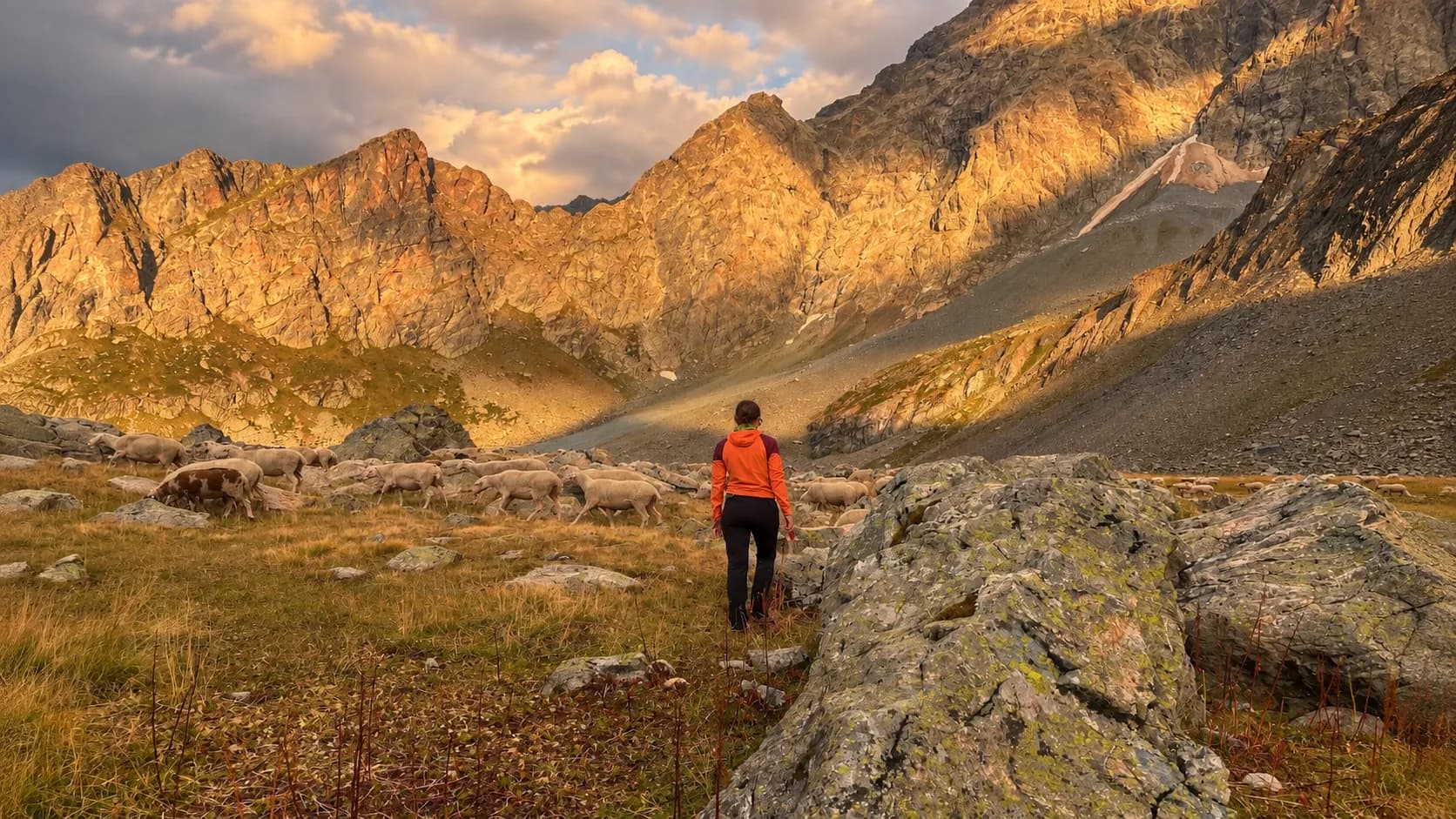 Randonnée dans les Écrins, paysages alpins majestueux, moutons paisiblement au crépuscule.