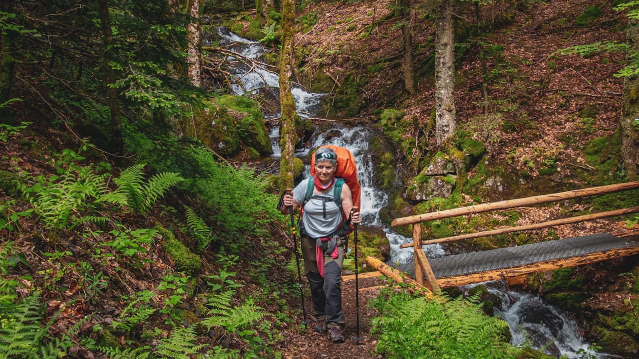 Randonneur avec un sac à dos, cheminant dans une forêt luxuriante près d'un ruisseau.