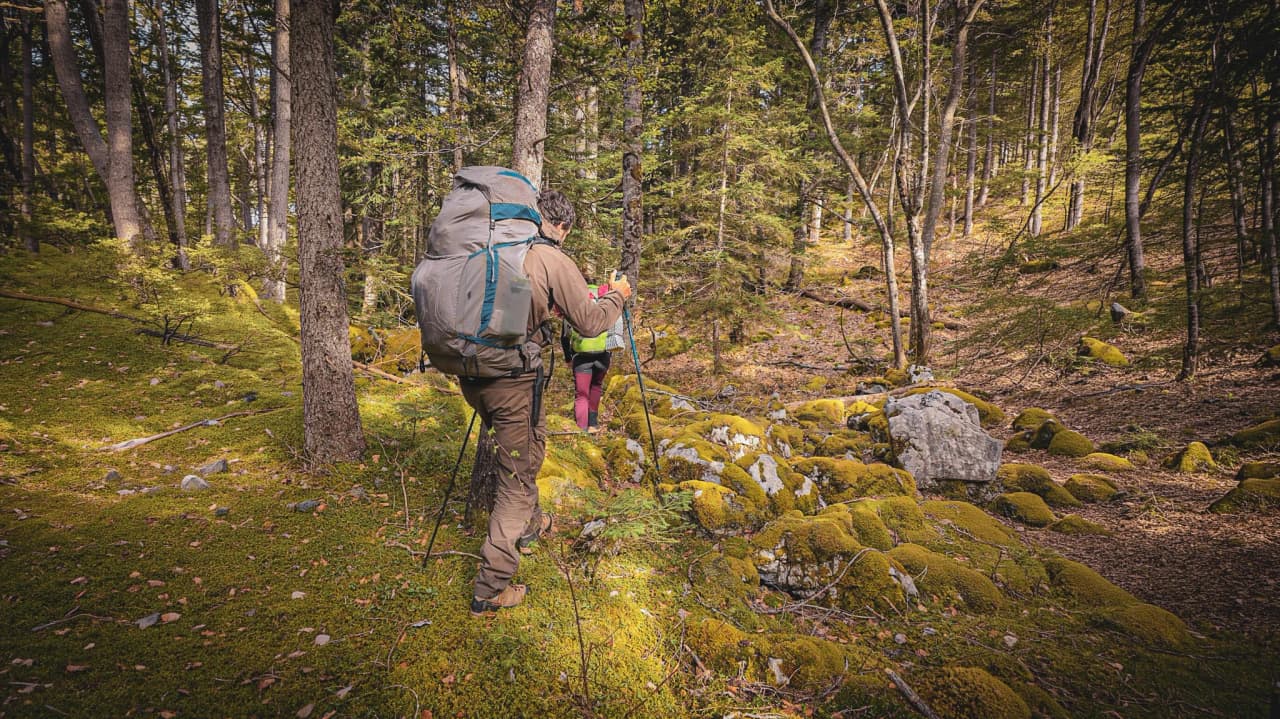 Deux randonneurs explorent une forêt verdoyante du Vercors, entourés de paysages enchanteurs.