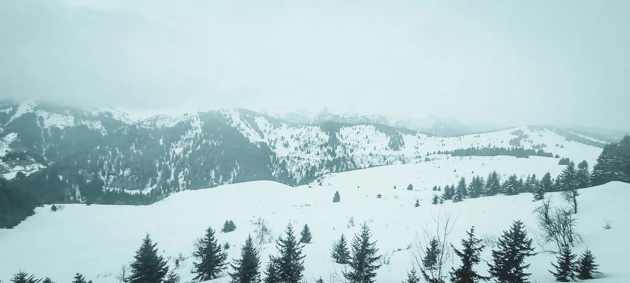 A snow-covered landscape around Mont Blanc, offering majestic views of peaks and forests.