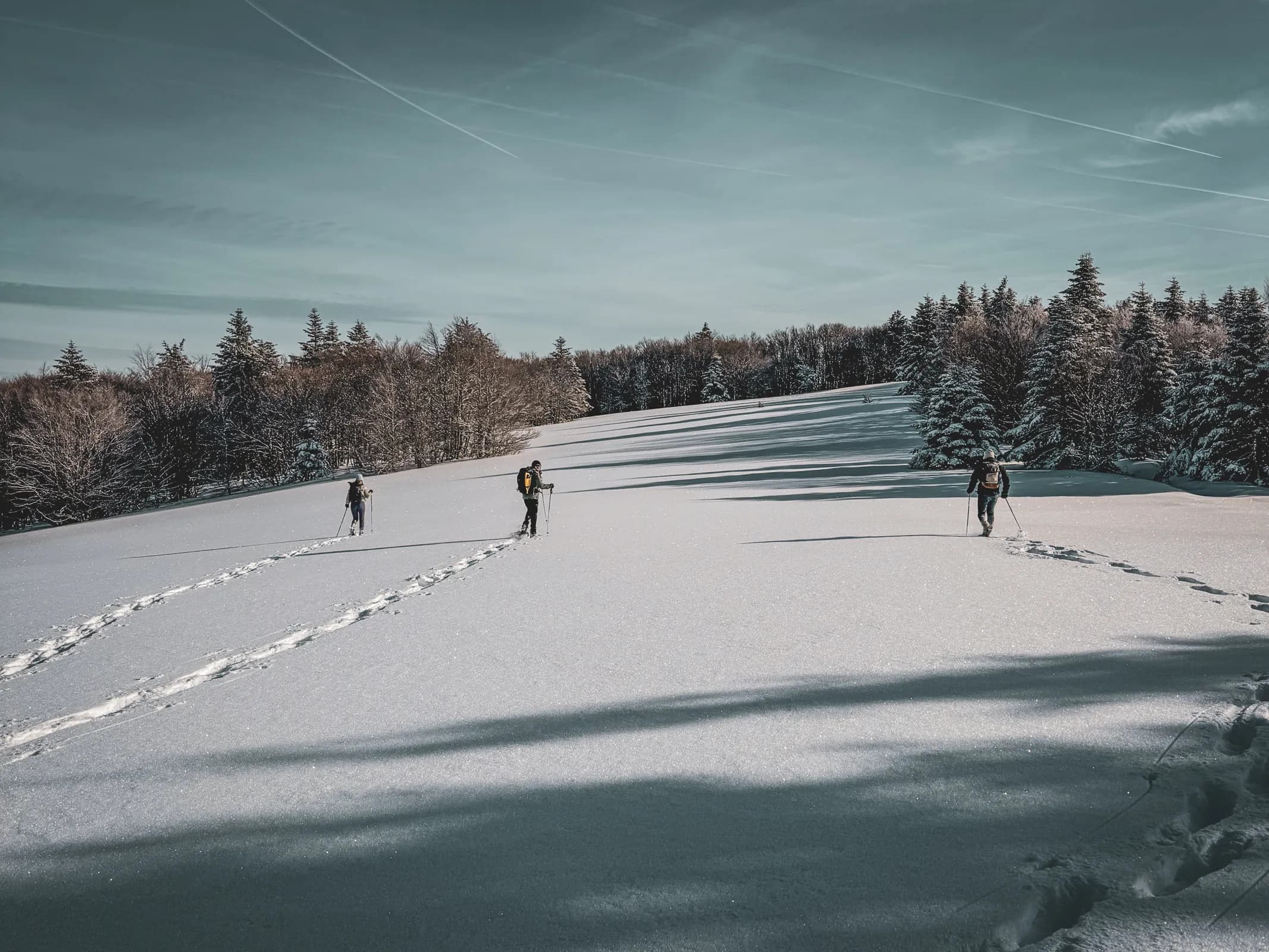 A group of adventurers on snowshoes crossing a snow-covered Vosges landscape under a bright sky.