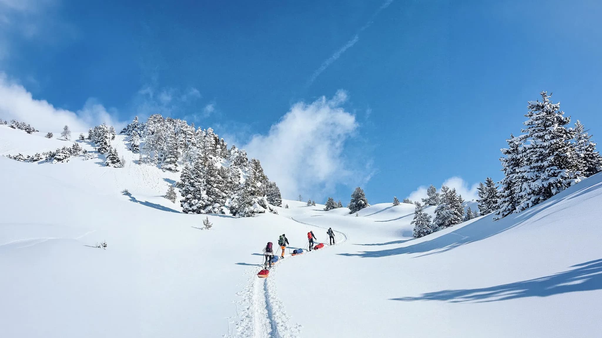 Des randonneurs en raquettes et pulka avancent dans un paysage enneigé du Vercors sous un ciel bleu.