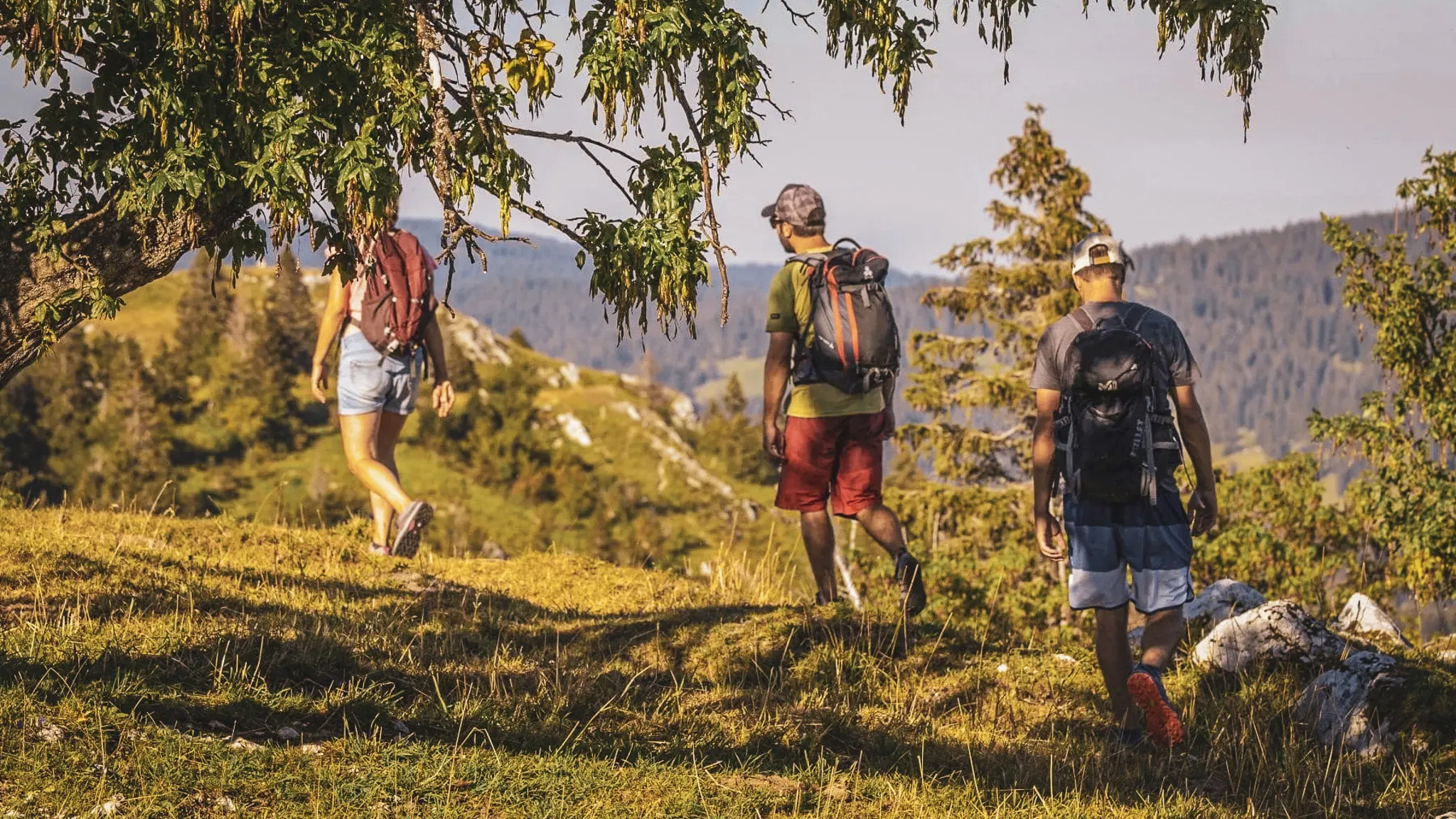 A group of hikers on a green ridge, enjoying panoramic views of the countryside.