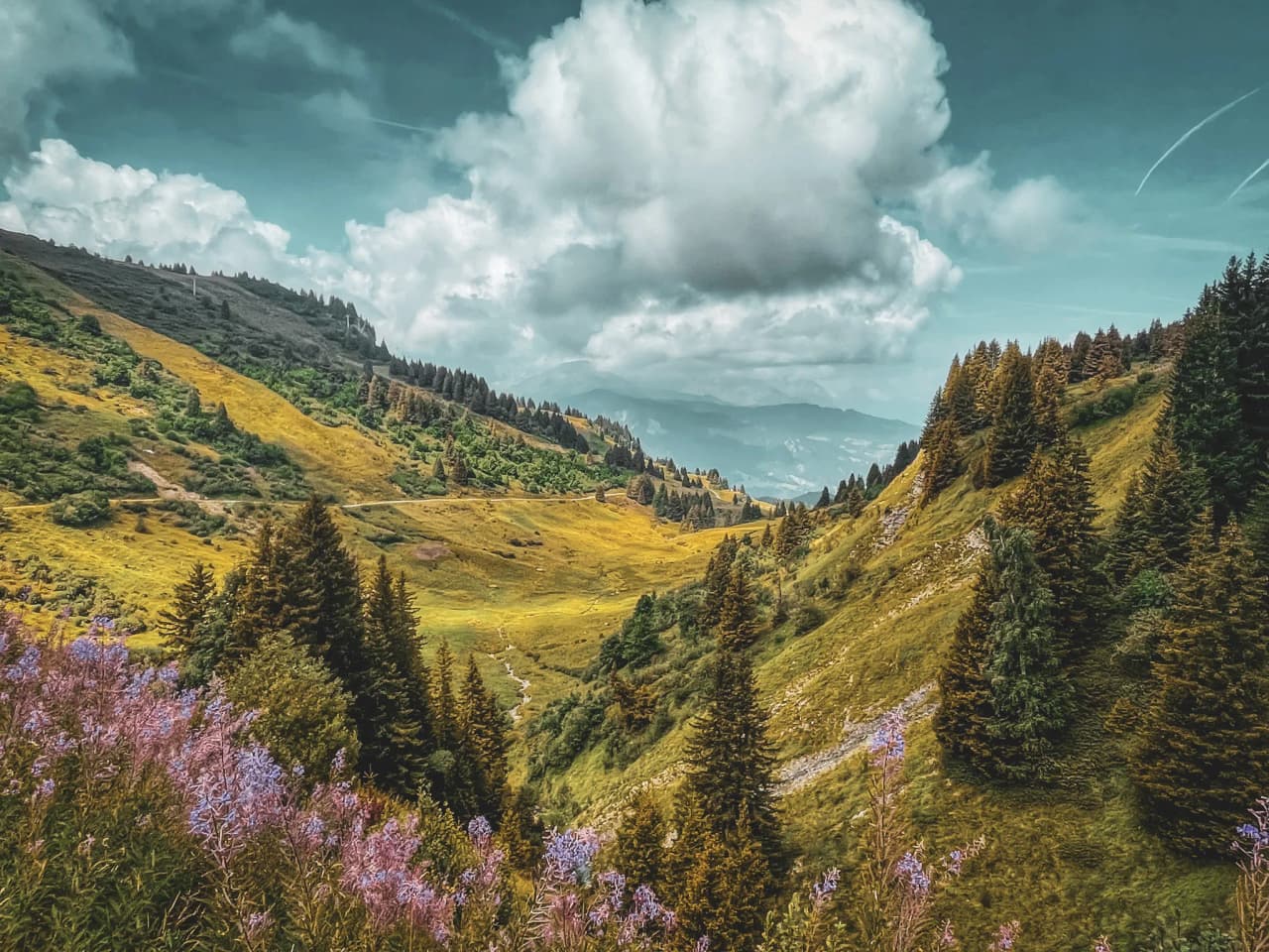 Majestic Alpine scenery, lush green valleys and colourful flowers, with Mont Blanc as a backdrop.