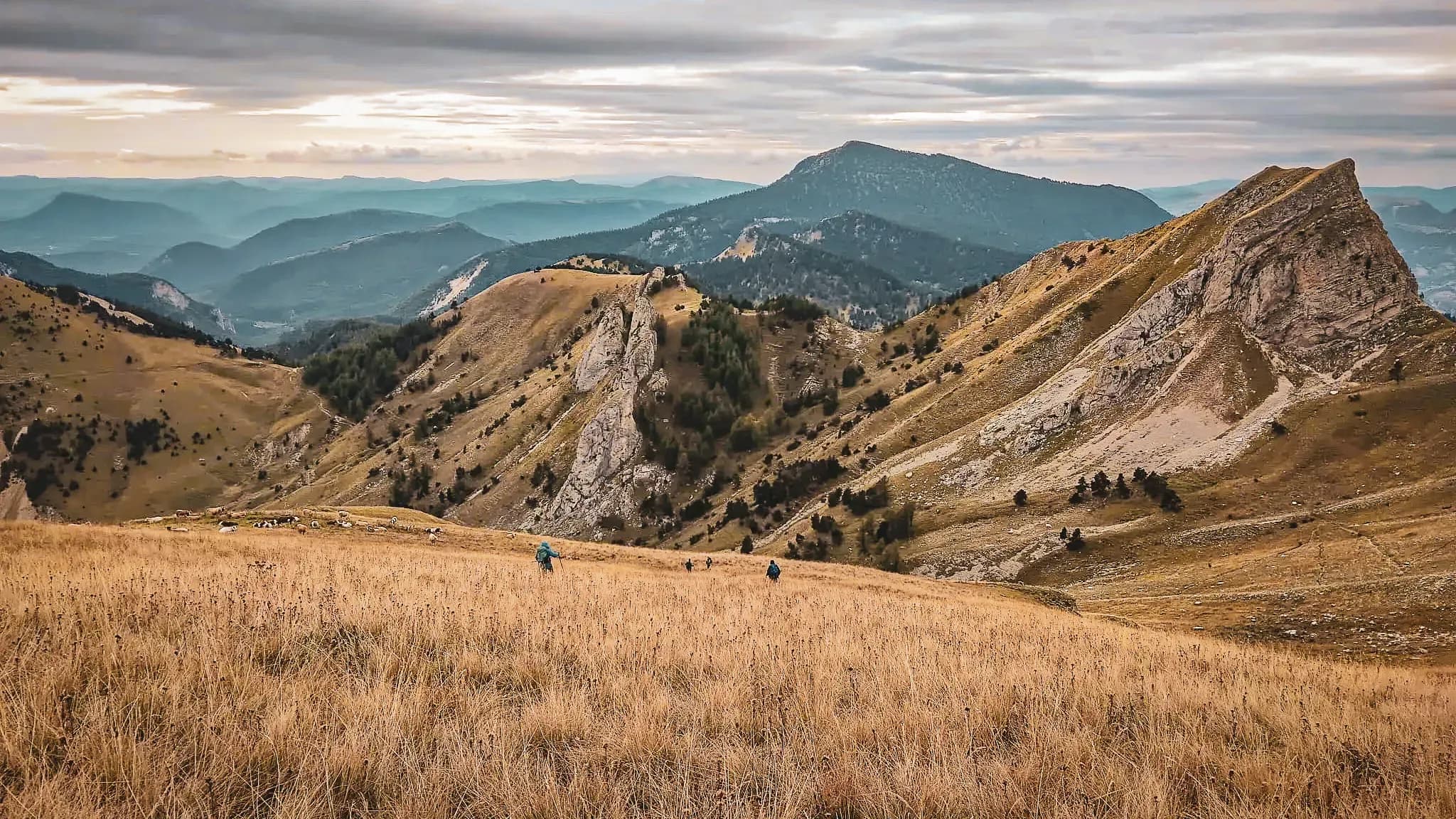 A Devoluy mountain landscape with hikers in the golden grass and majestic mountains.