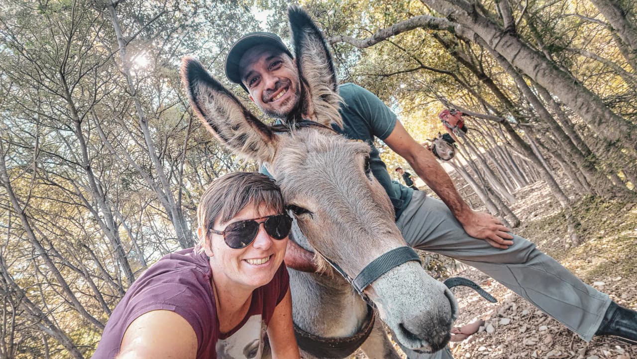 A smiling male and female hiker pose with a donkey on the wooded paths of the Cévennes.