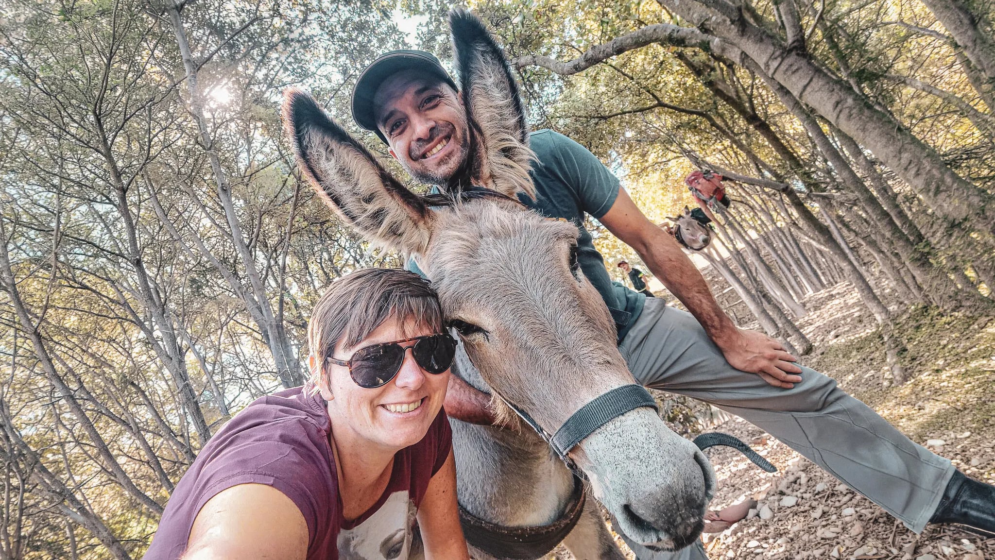 A smiling male and female hiker pose with a donkey on the wooded paths of the Cévennes.