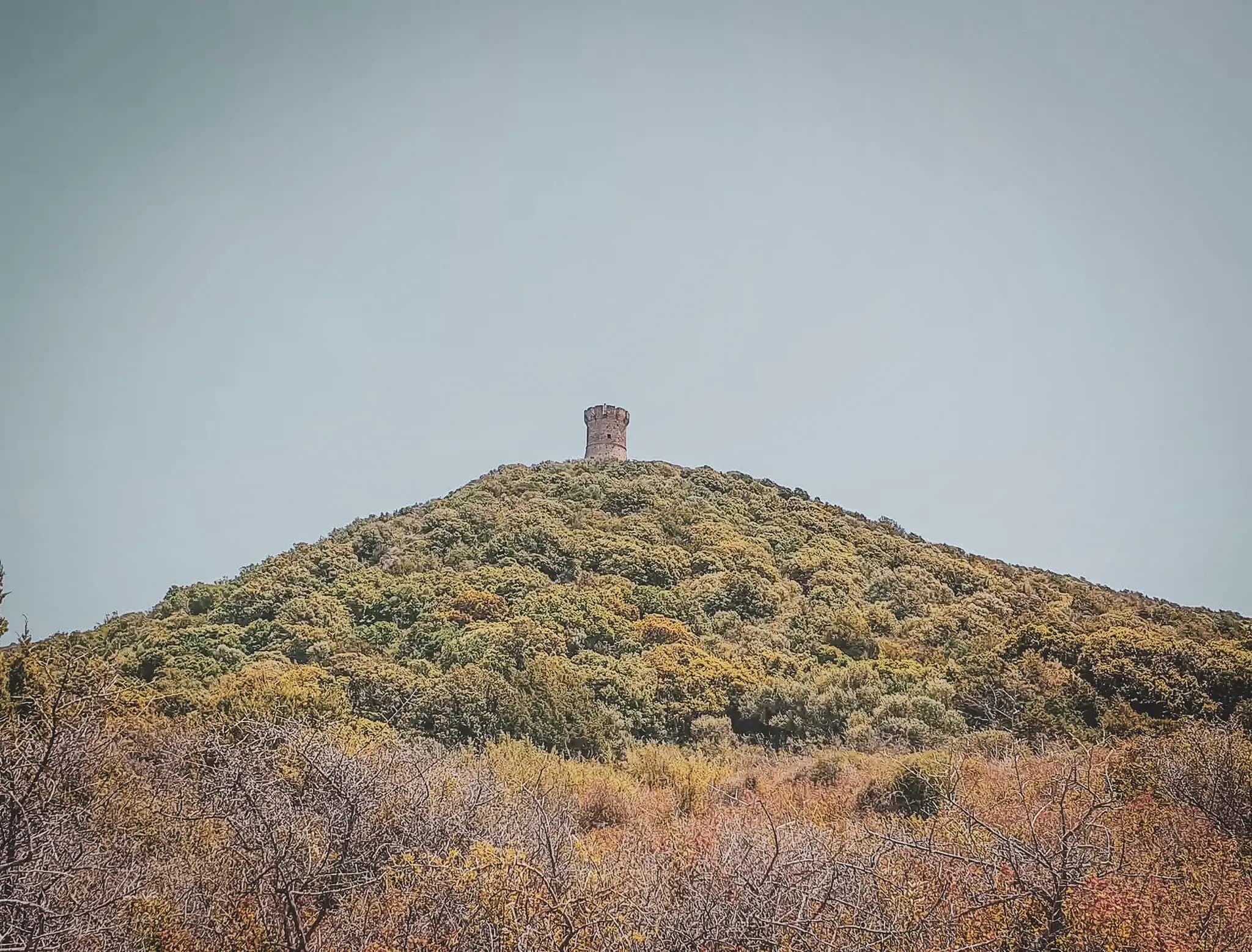 Tour génoise perchée sur une colline verdoyante, offrant une vue imprenable sur la nature corse.