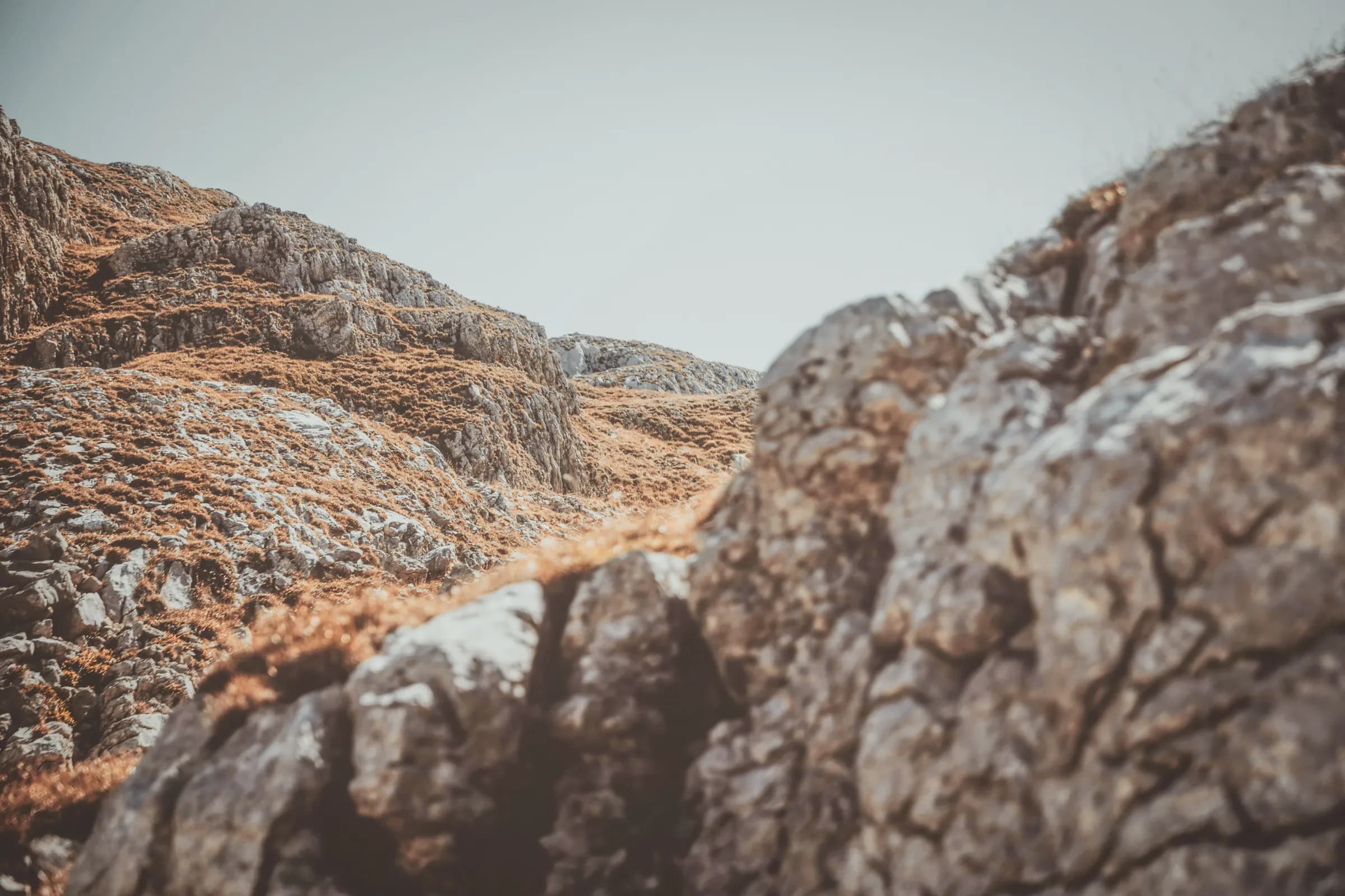 A mountainous landscape of imposing rocks and golden vegetation, an invitation to adventure.