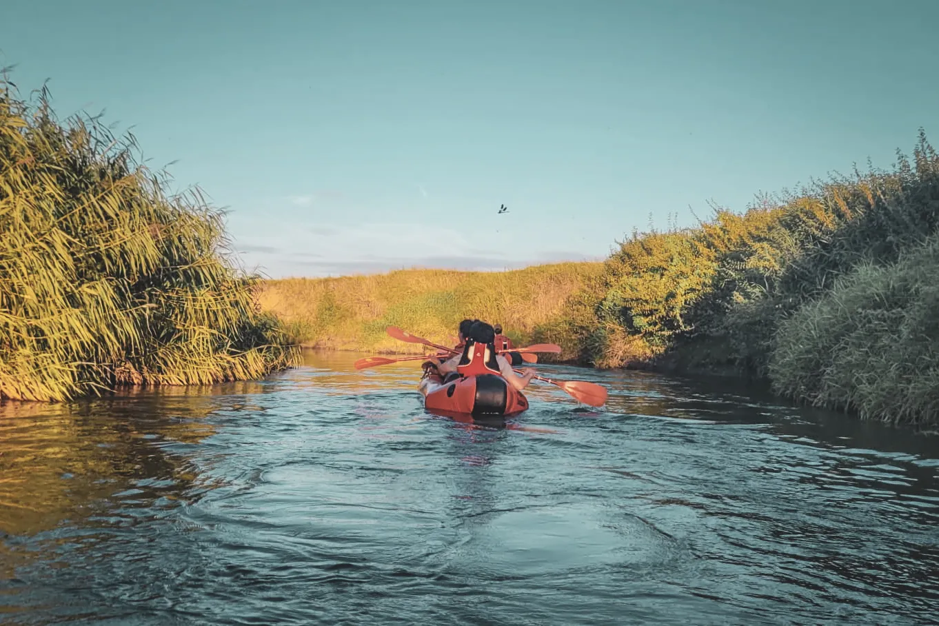 Aventure en packraft sur une rivière verdoyante, explorez la nature belge.