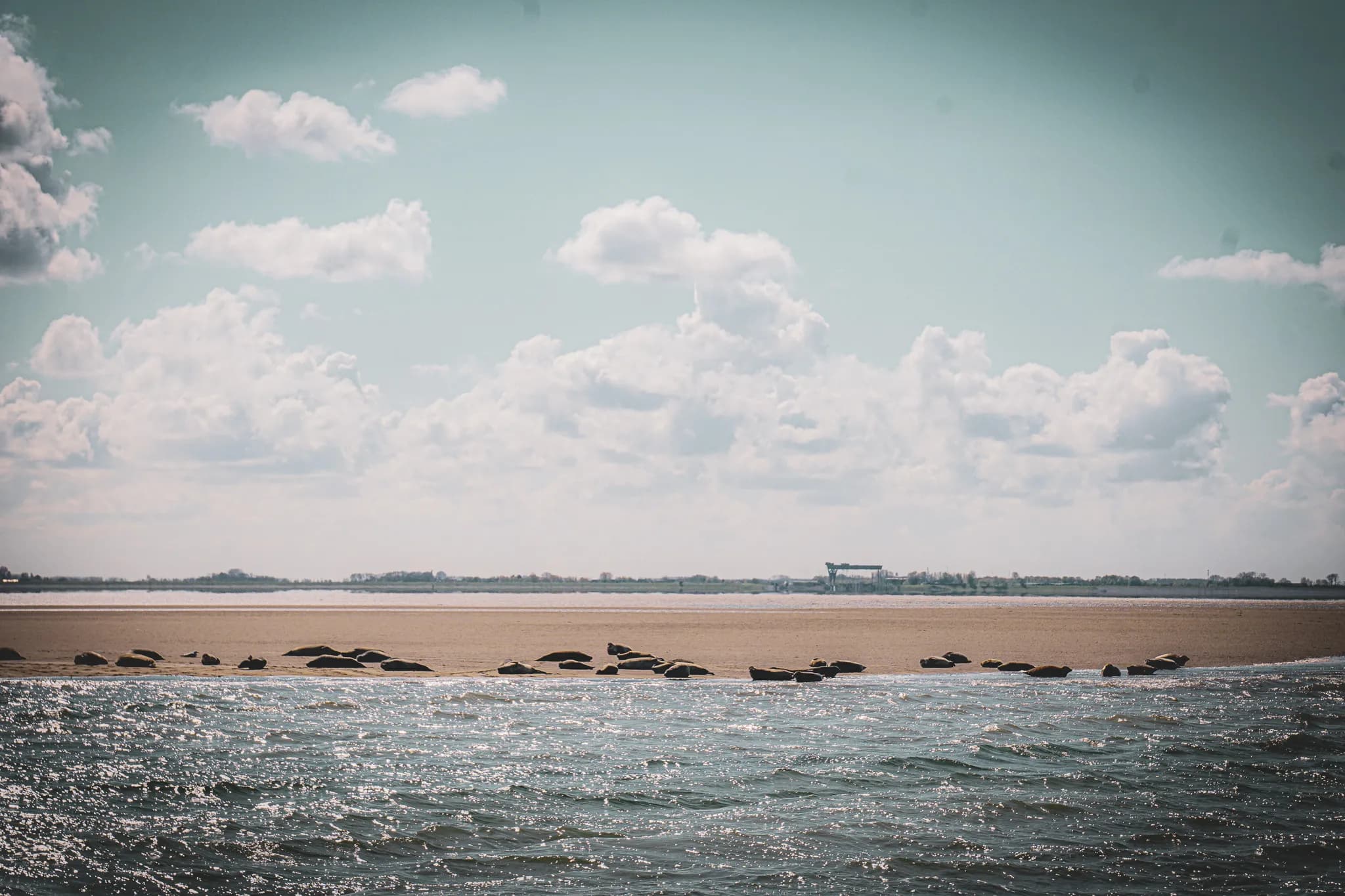 Bord de mer en Zélande, rayonnant sous le soleil, avec des bancs de sable et des nuages épars.