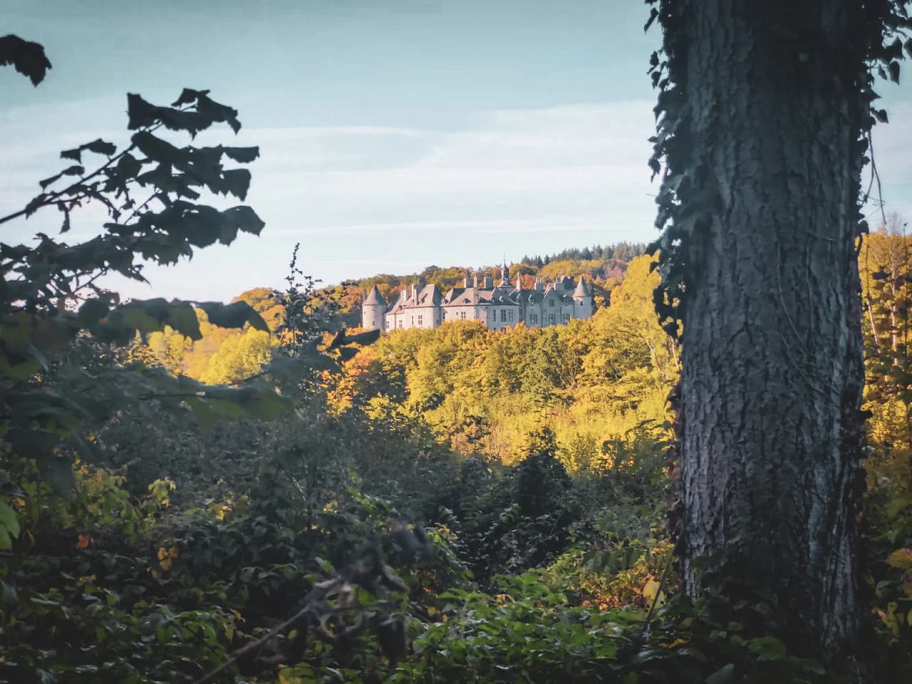 A majestic castle emerging from a colourful forest under a serene sky, an invitation to adventure.