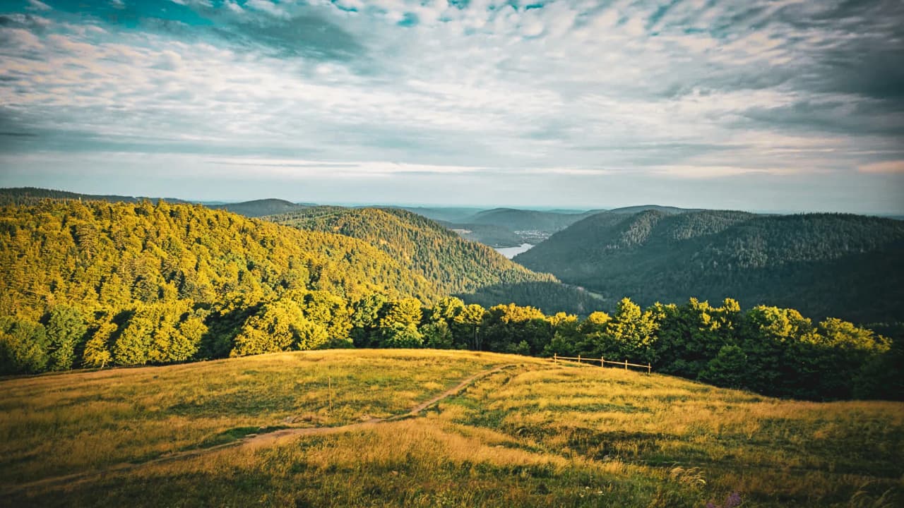 Panoramic views of the green hills of the Vosges, ideal for hiking and stargazing.