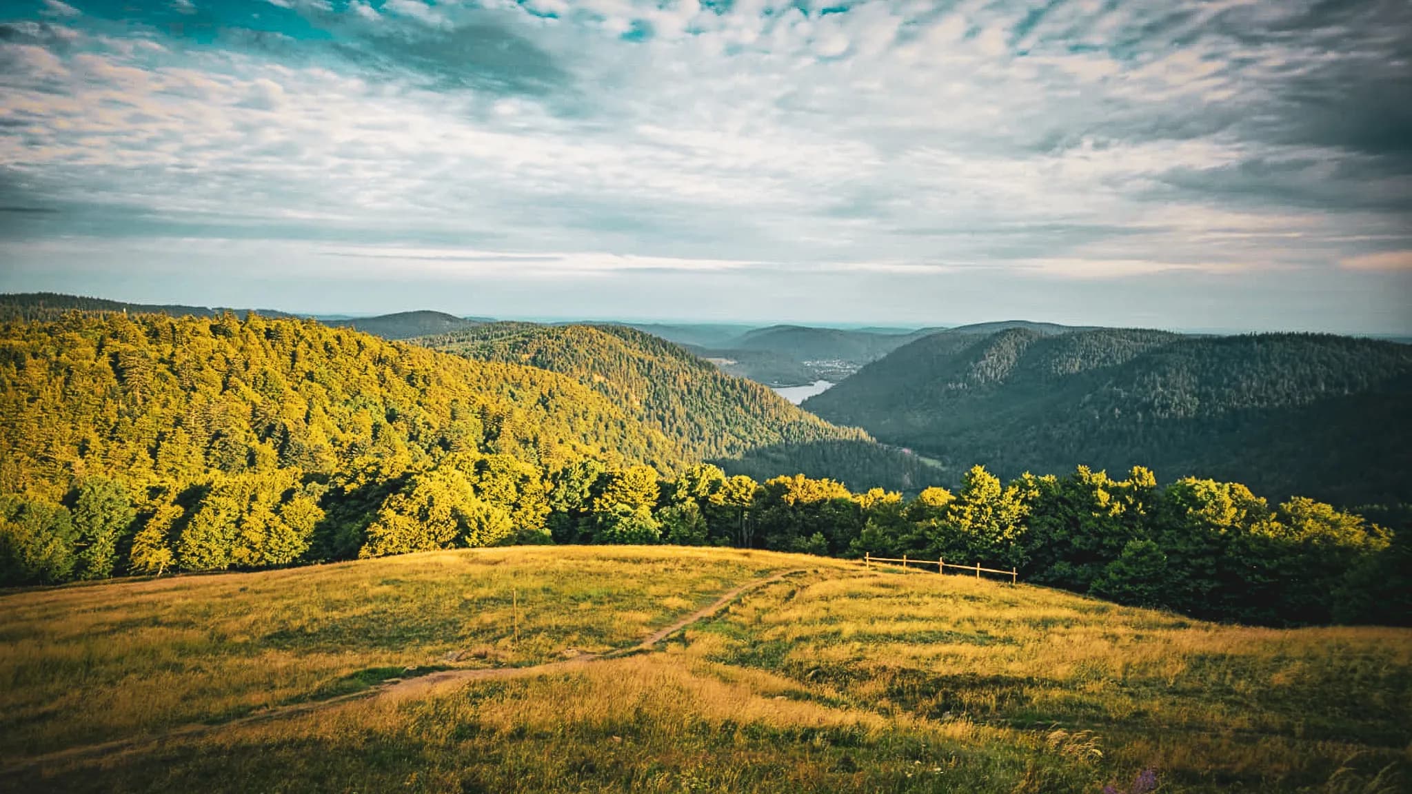 Vue panoramique sur les collines verdoyantes des Vosges, idéale pour la randonnée et l'observation des étoiles.