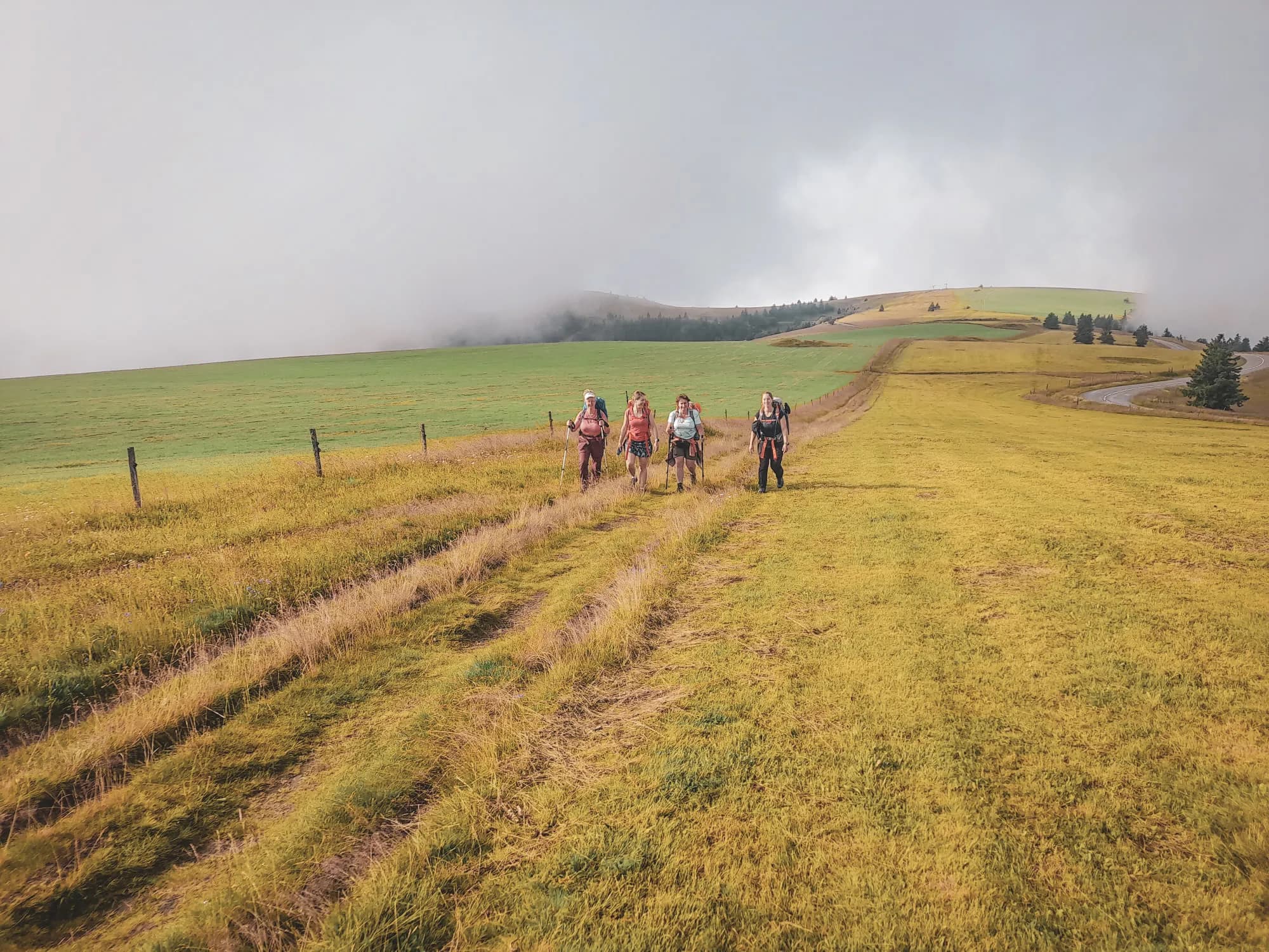 Cinq randonneurs sur un sentier verdoyant des Vosges, entourés de panoramas majestueux.