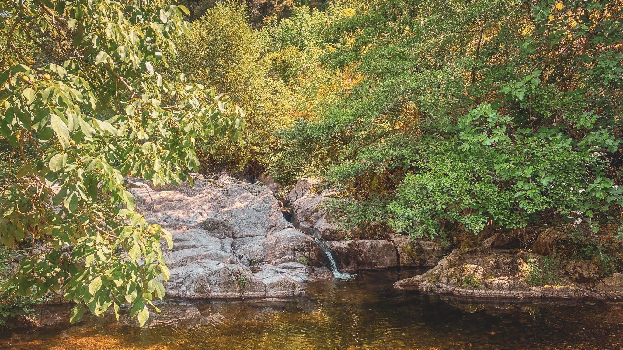 A peaceful spot in the Cévennes, with crystal-clear water and rocks surrounded by lush greenery.