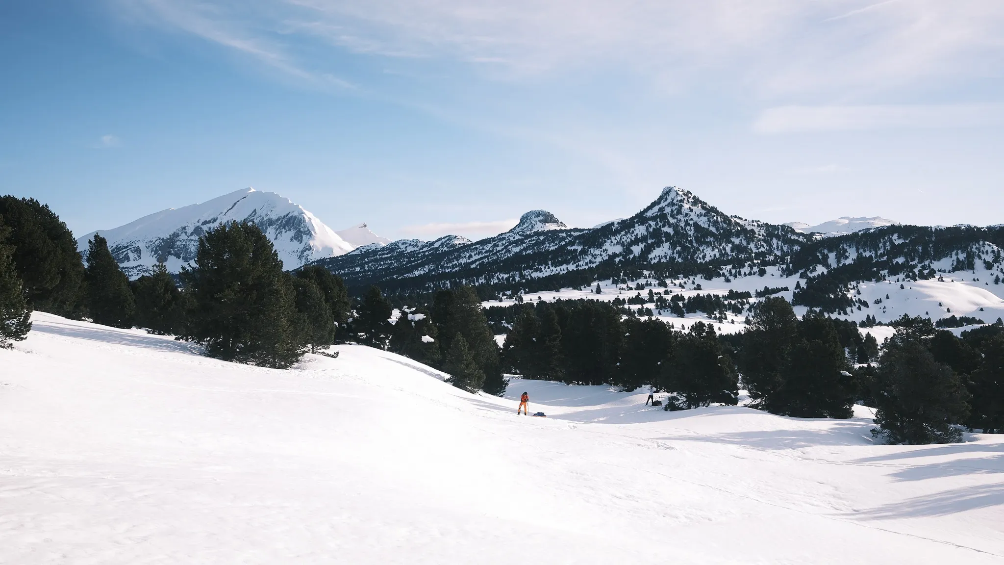 Paysage alpin enchanteur du Vercors, enneigé, avec des montagnes majestueuses et des conifères.