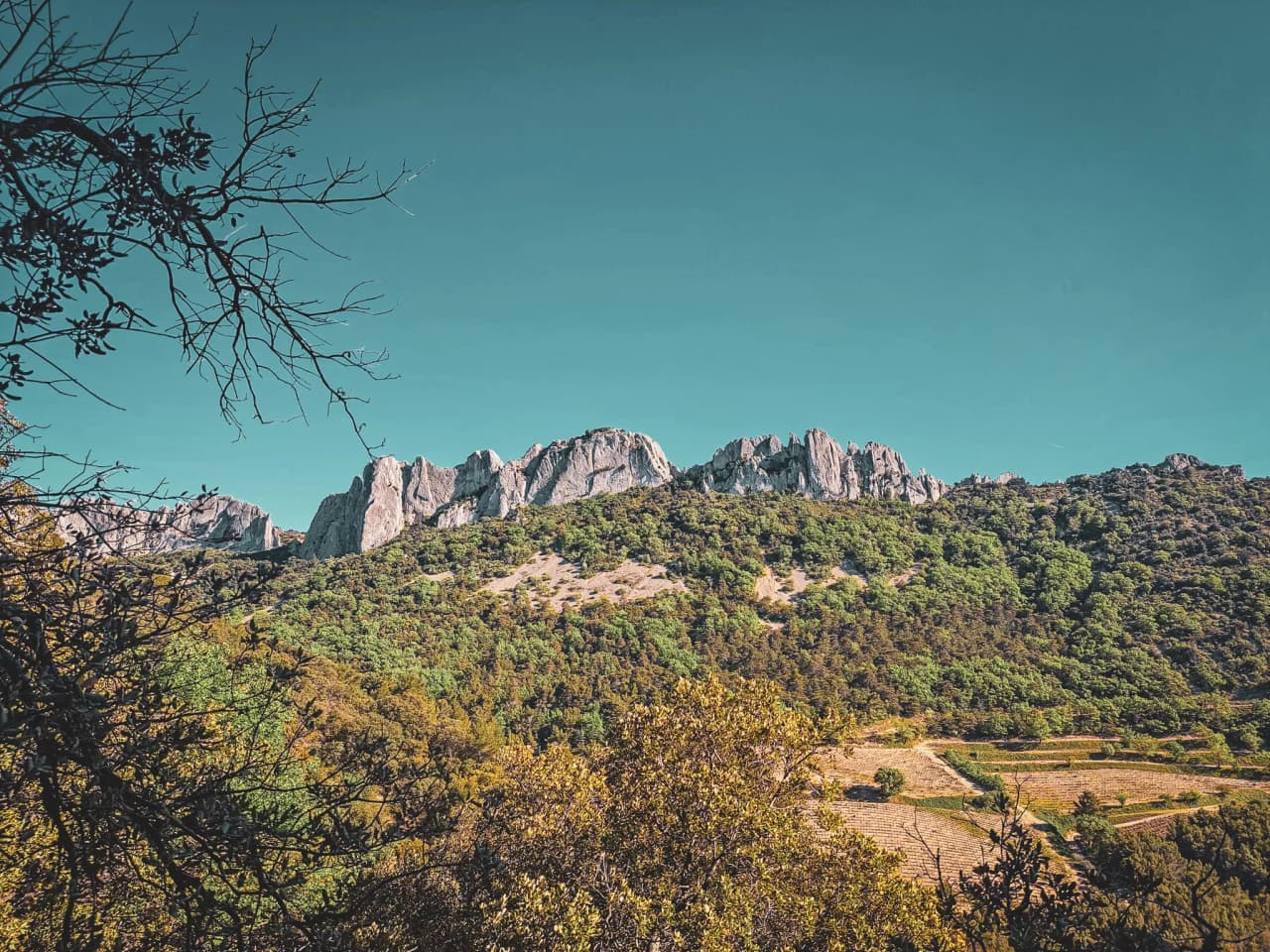 Éblouissant panorama des Dentelles de Montmirail, entre vergers et montagnes sous un ciel azur.