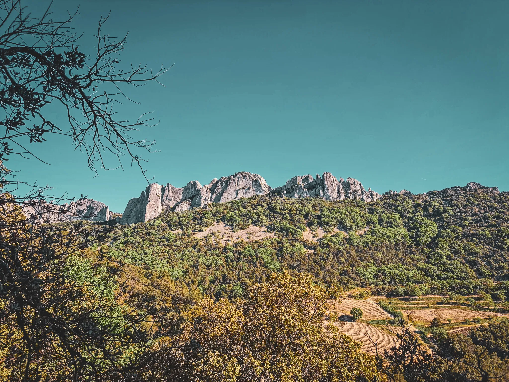 Éblouissant panorama des Dentelles de Montmirail, entre vergers et montagnes sous un ciel azur.