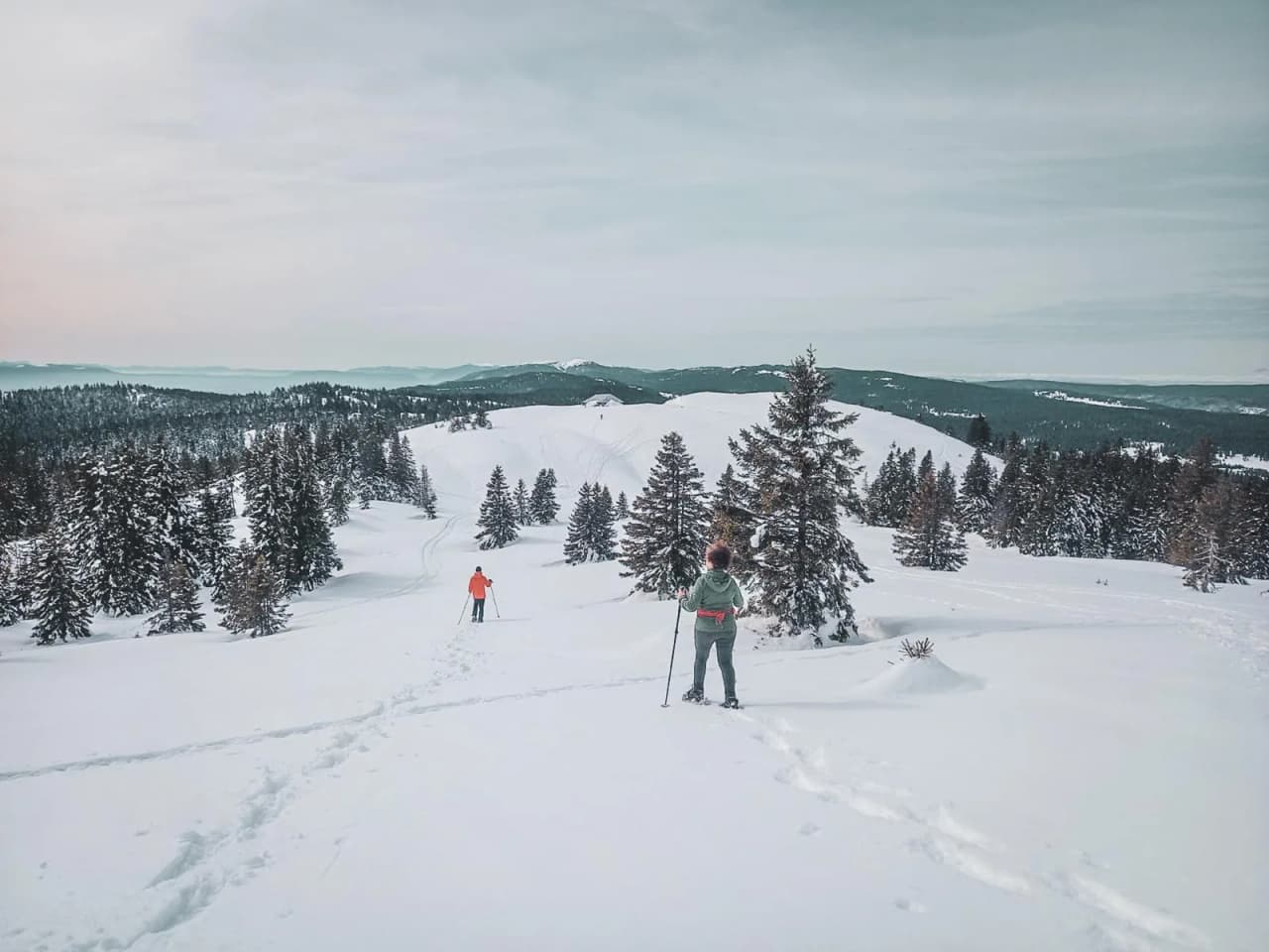 Sneeuwschoenwandelaars koesteren zich in een besneeuwd Jura landschap, omringd door dennenbomen.