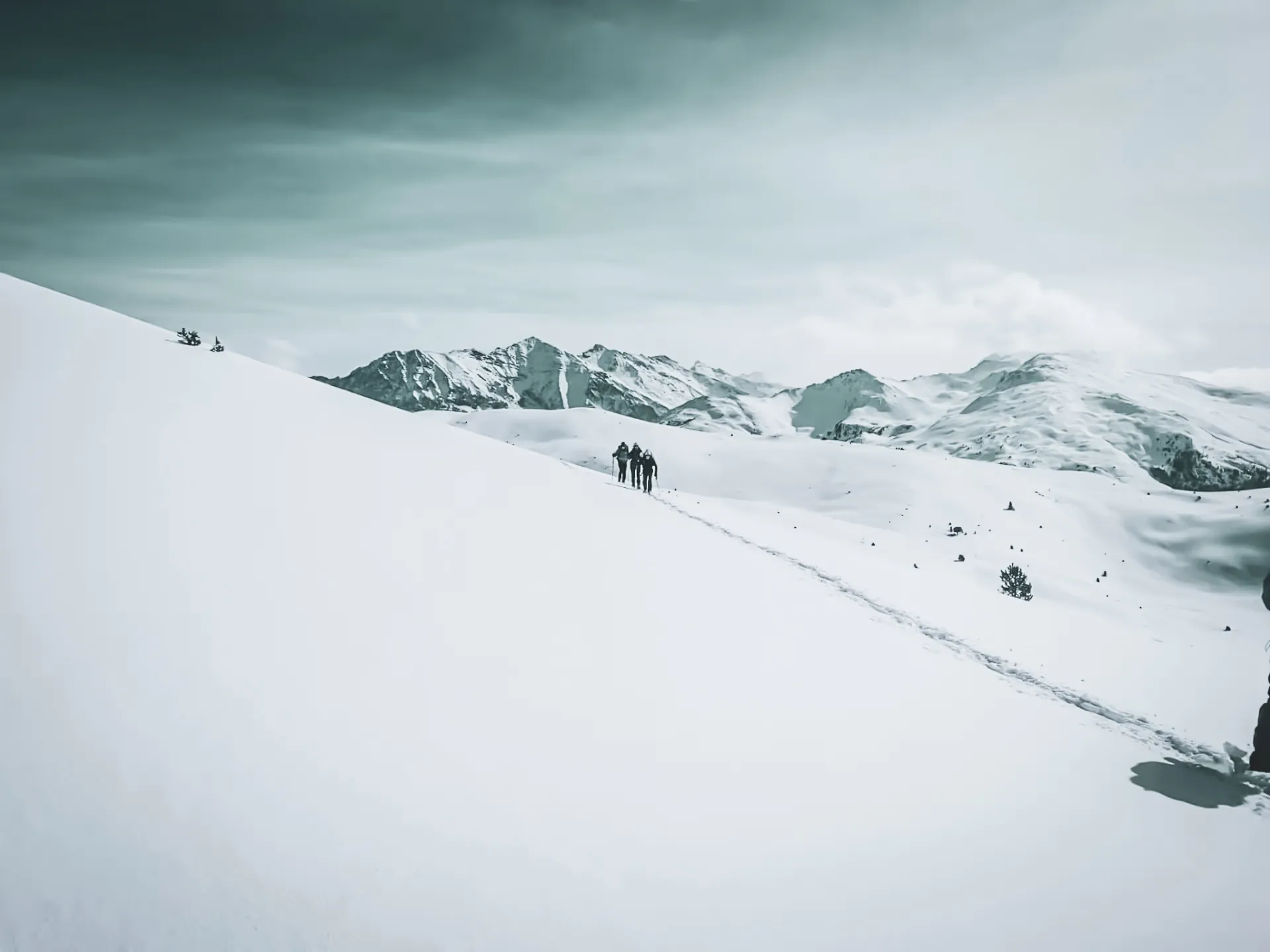 Snowshoeing in the mountains, with hikers on a vast snow-covered landscape.
