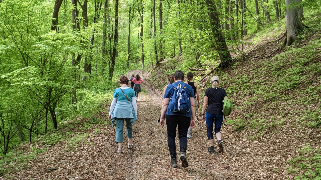 A group of people walking along a leafy forest path, in the middle of a yoga retreat.