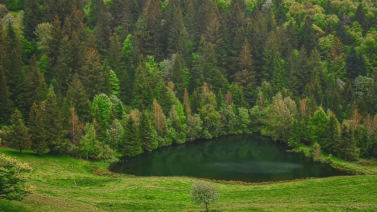 Un lac paisible entouré de forêts verdoyantes, invitation à l'évasion en montagne.