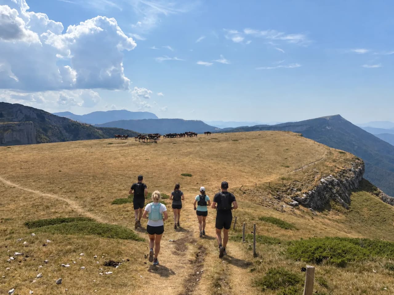Runners on a scenic trail in the Vercors, with mountainous landscapes and horses.
