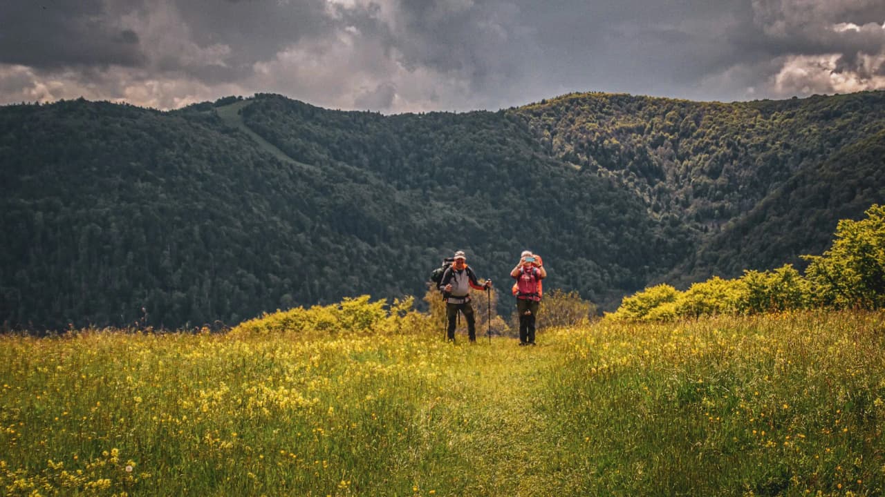Randonneurs au cœur des Vosges, entourés de paysages verdoyants et de fleurs colorées.