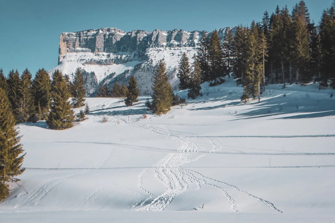 Paysage enneigé en Chartreuse, avec des crêtes majestueuses et des forêts bordant des sentiers de raquette.