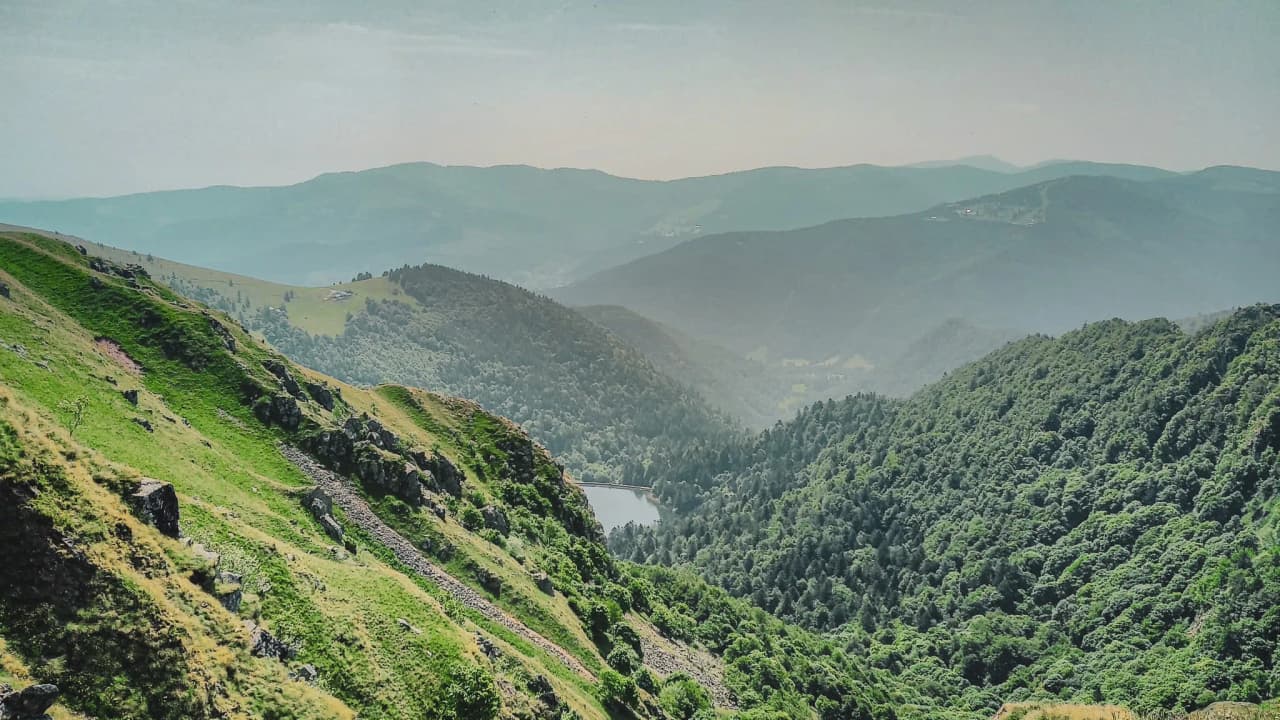 Paysage verdoyant des Vosges, avec montagnes ondulantes et un lac paisible en contrebas.